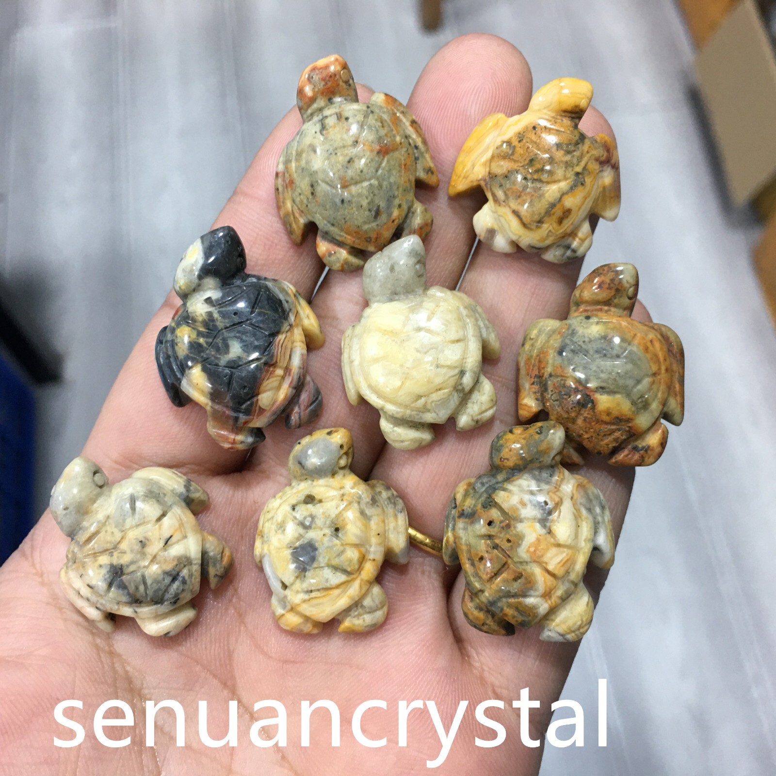 5pcs Natural Crazy agate quartz Crystal Sea turtle Carved Skull Healing random