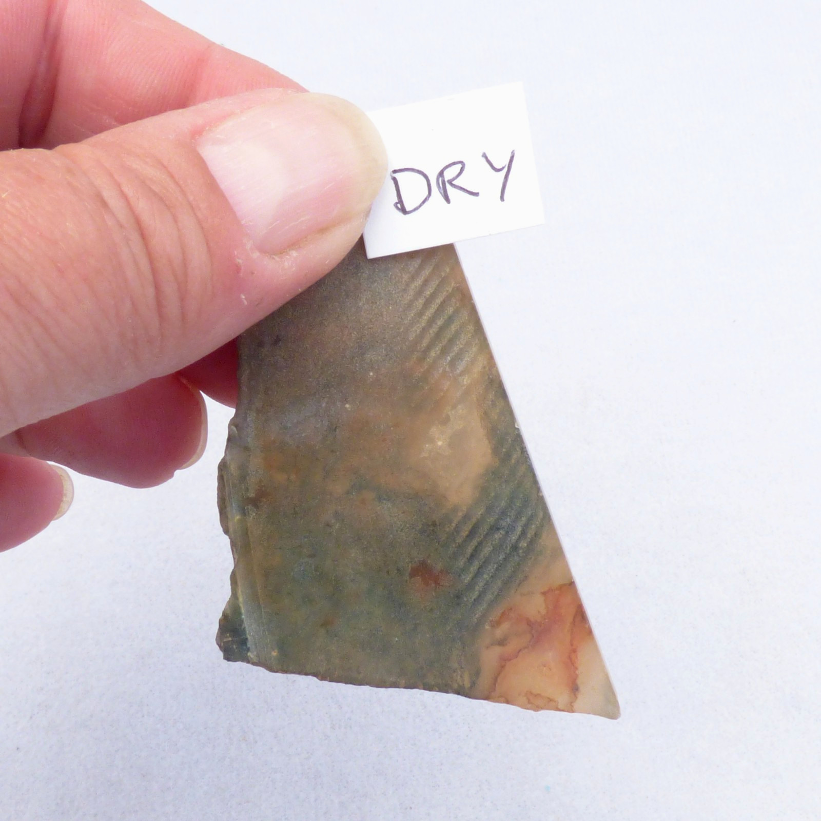 Red Green Moss Agate Slice UNPOLISHED For Collector or Lapidary 6.5cm x 3.5cm