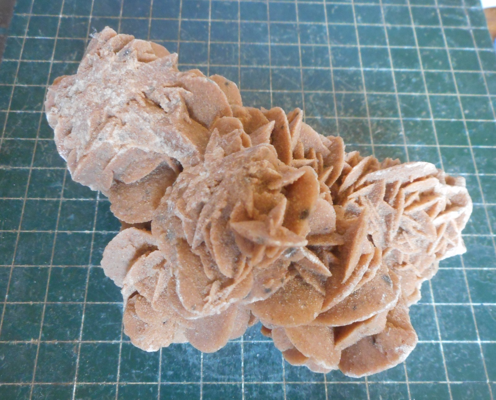 Desert Rose Selenite. Natural. Gypsum. Morocco 5.3″ (13.5 cm). 0.95 Lb