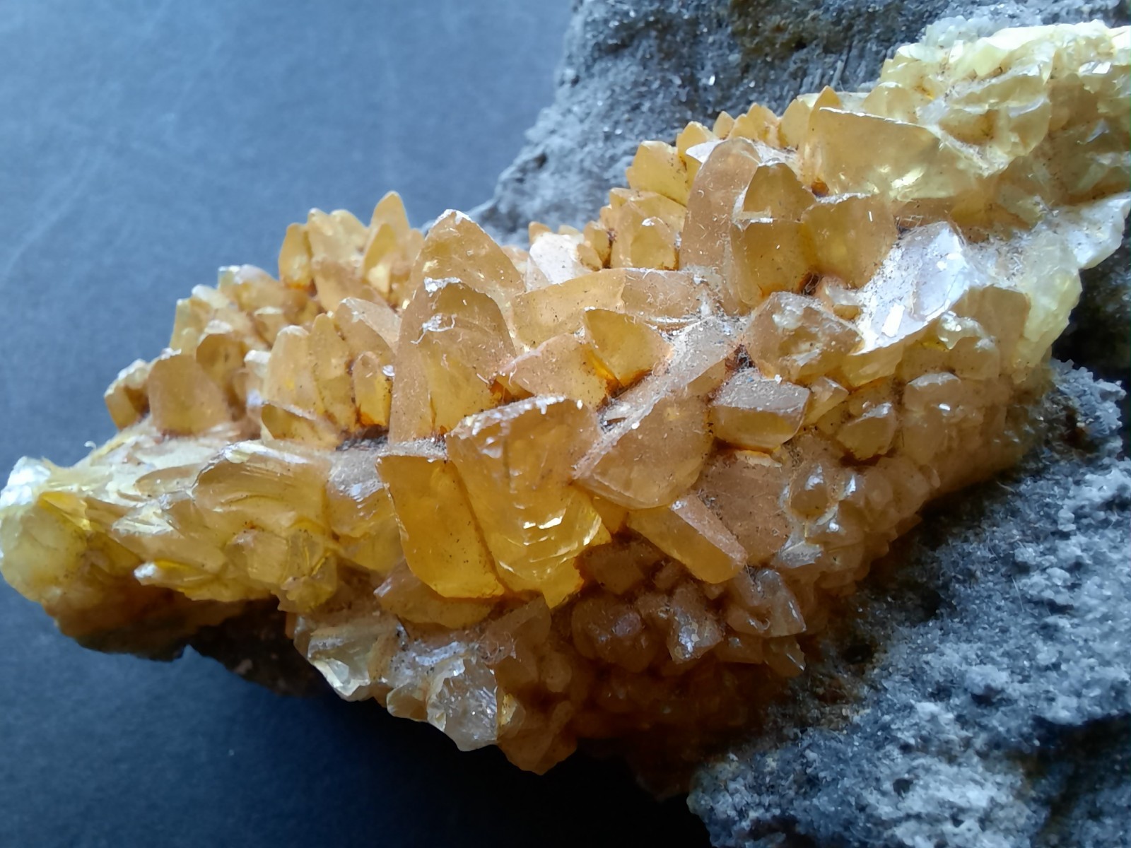 Golden Yellow Honey Calcite Crystals on Fossil Mangrove Clam Shell Rucks Pit