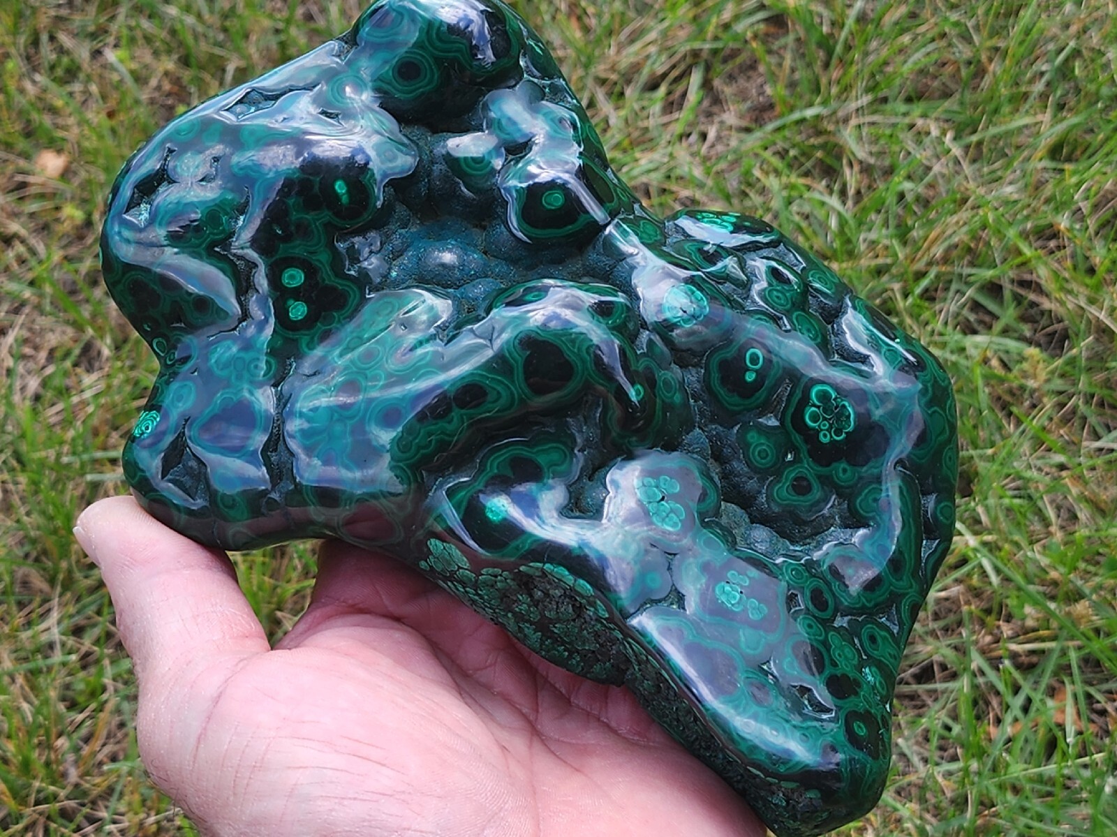 GORGEOUS,LG POLISHED MALACHITE,CONGO