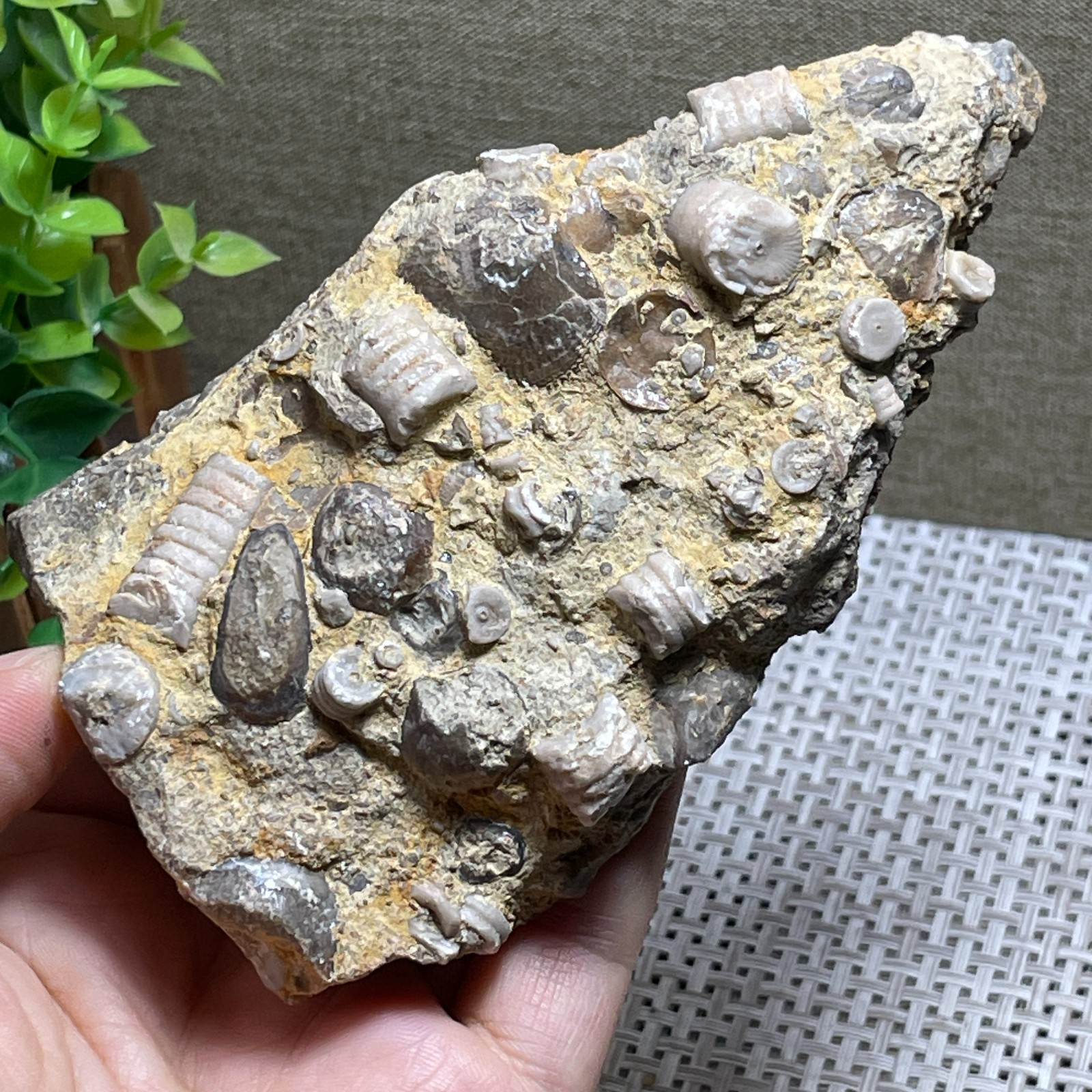 beautiful lily stone Home decoration viewing specimen 290g AH1