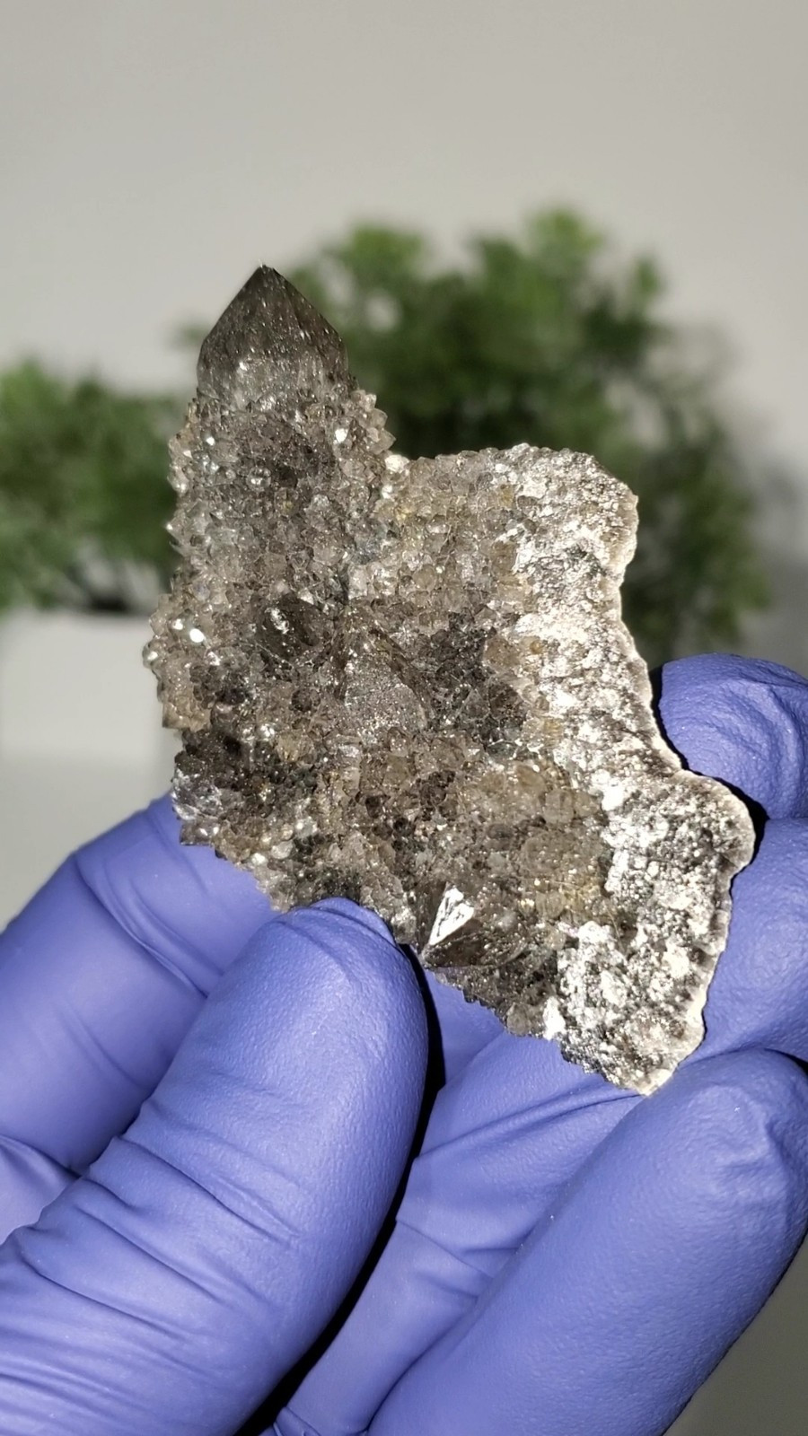 Black Spirit Quartz Cluster Specimen (Fairy Quartz) South Africa 34g
