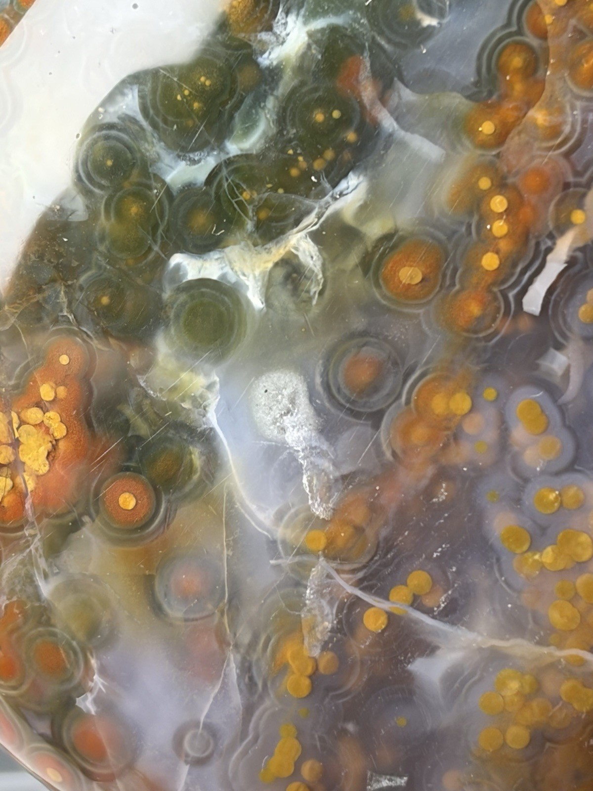 Jelly Ocean Jasper Free Form Colorful Orbs