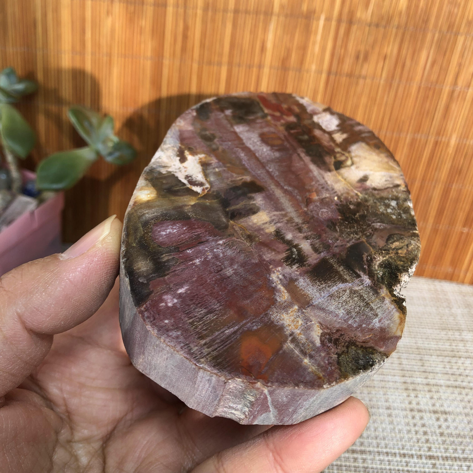 109mm natural Beautiful Petrified Wood Crystal Slice mineral specimen 341g A4860