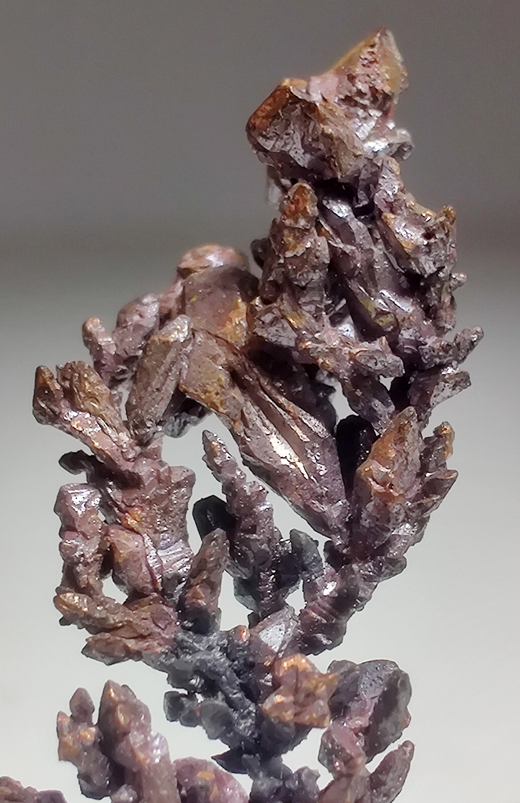 Copper crystals, lovely aborescent form. Itauz Mine, Kazakhstan. 2.5 cm.