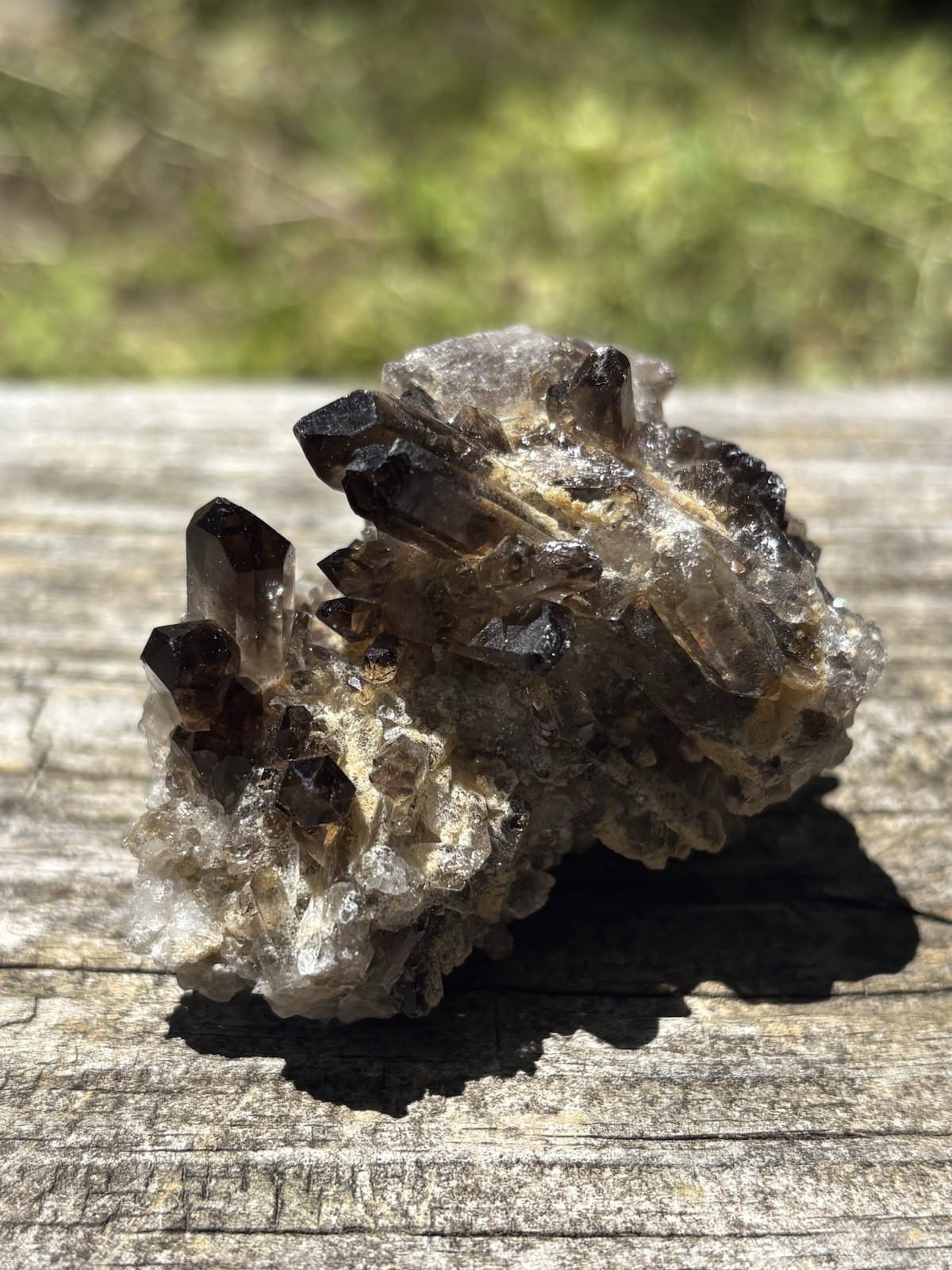 Smoky Quartz Crystal Cluster- Natural 2.1 Dark Brown Smoky Quartz Points Cluster