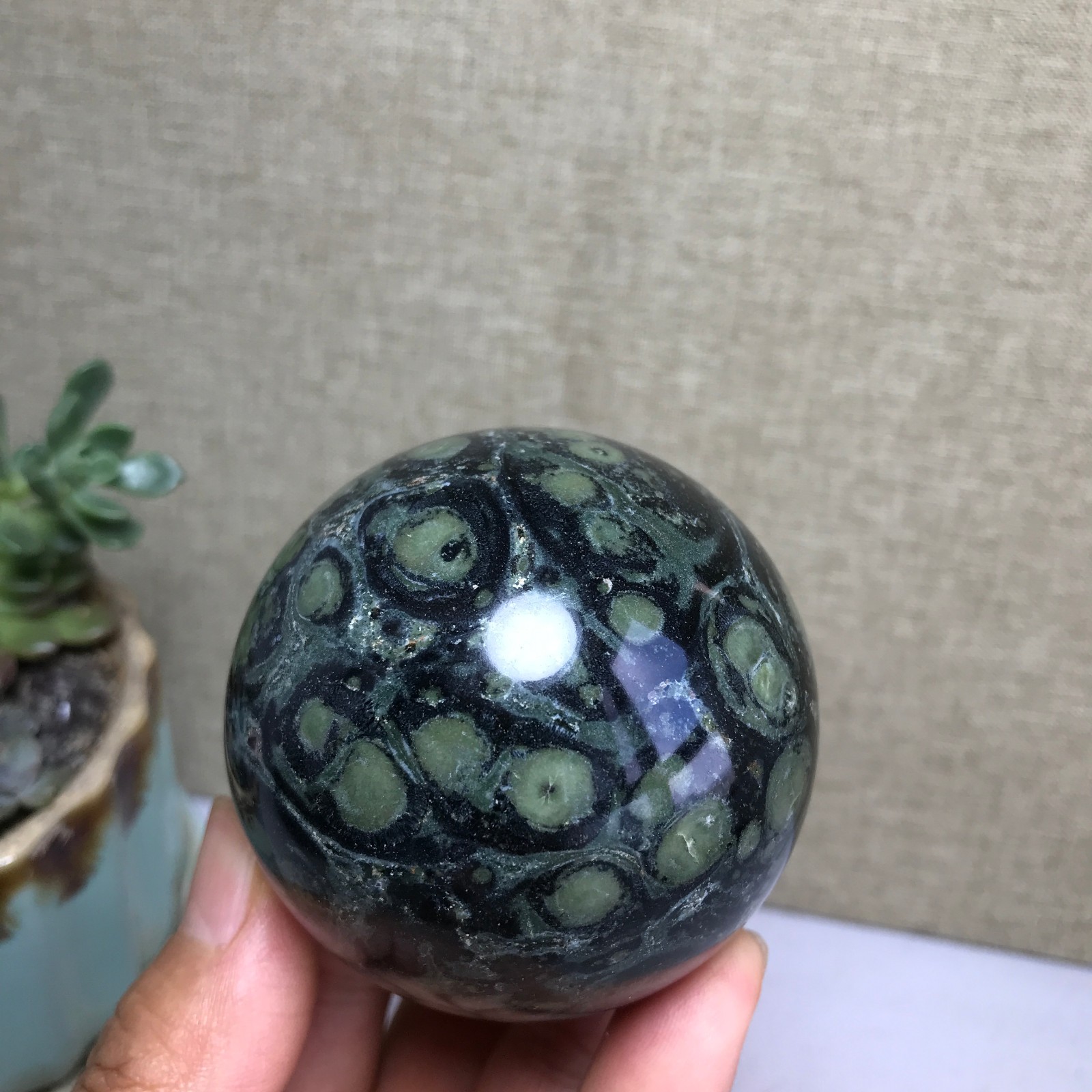 Top Natural Green Kambaba jasper quartz crystal sphere ball healing 286g A4810