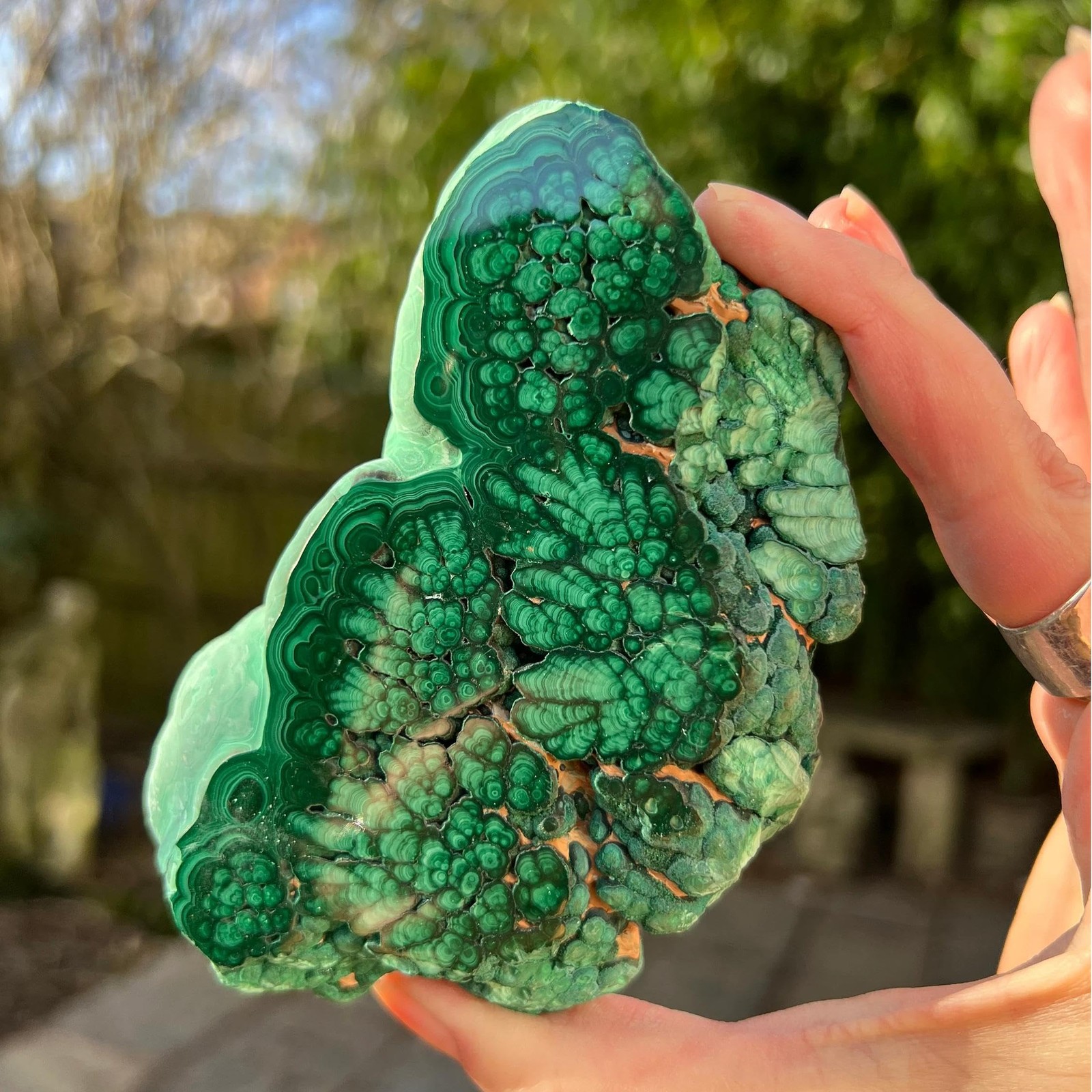 CrystalHola 1Pc Natural Malachite Slices,50-100g Small Size 50-100g, Green