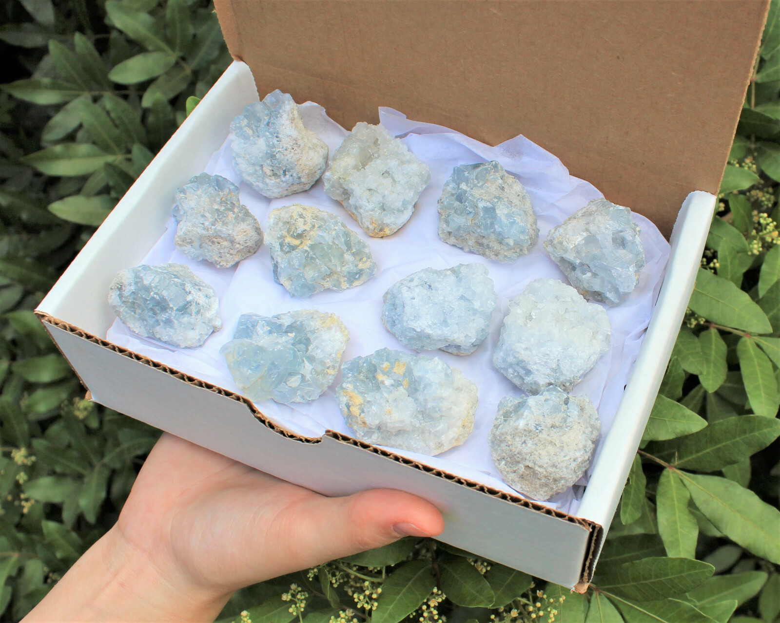 Natural Celestite Clusters – Wholesale Bulk ‘A’ Grade: 10-15 Piece Bulk Box Lot