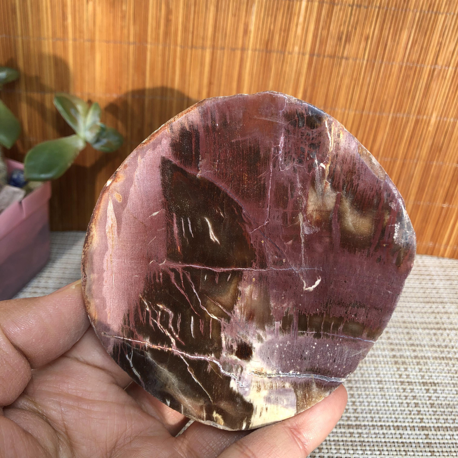 92mm natural Beautiful Petrified Wood Crystal Slice mineral specimen 217g A4861