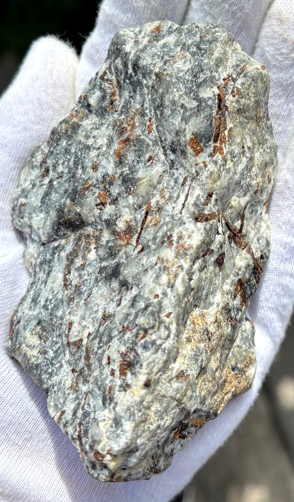 USA SALE SEE VIDEO 4″ 309g 2/3LB AUTHENTIC ASTROPHYLLITE ROUGH SPECIMEN LAPIDARY