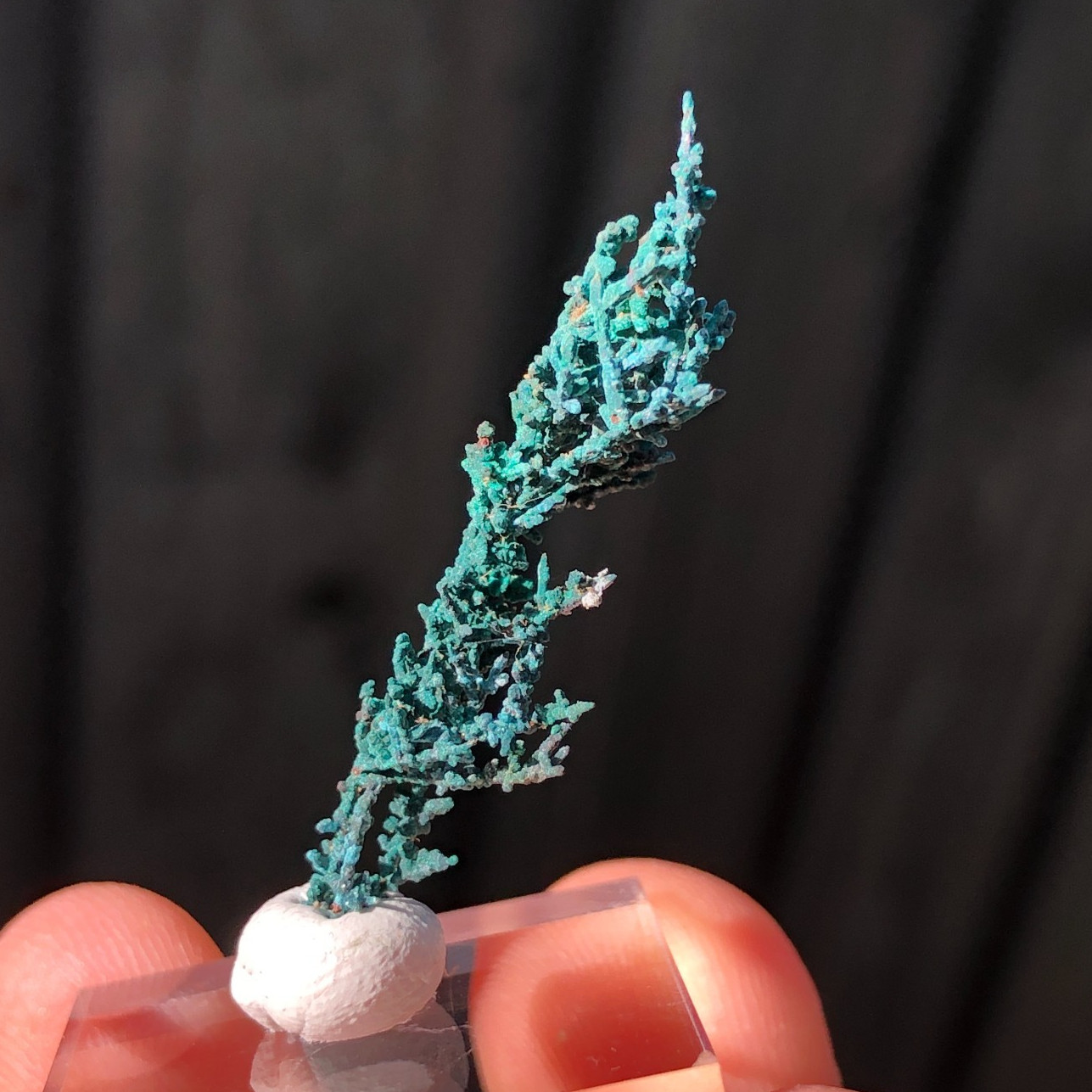 3.4cm Copper Wire Crystals with Malachite Patina from Mount Isa, QLD, Australia
