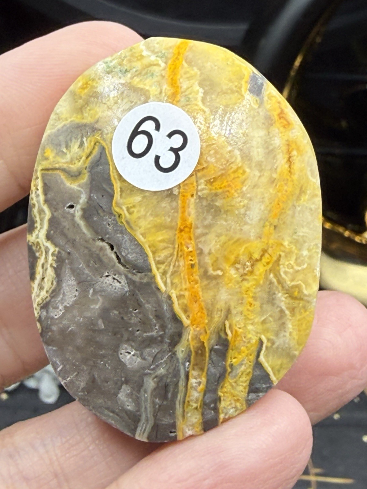 Natural Bumblebee Jasper Palms Druze vugs raw Free shipping