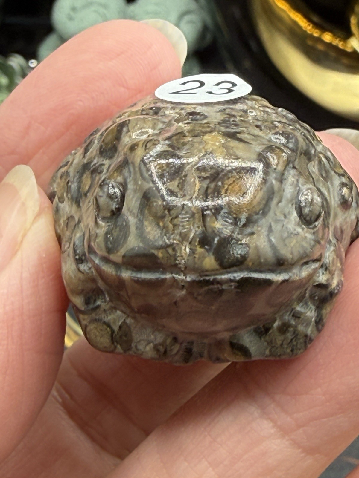 Natural Leopard Skin Japser Baby Toads O.M.G cute & Life like! Free shipping