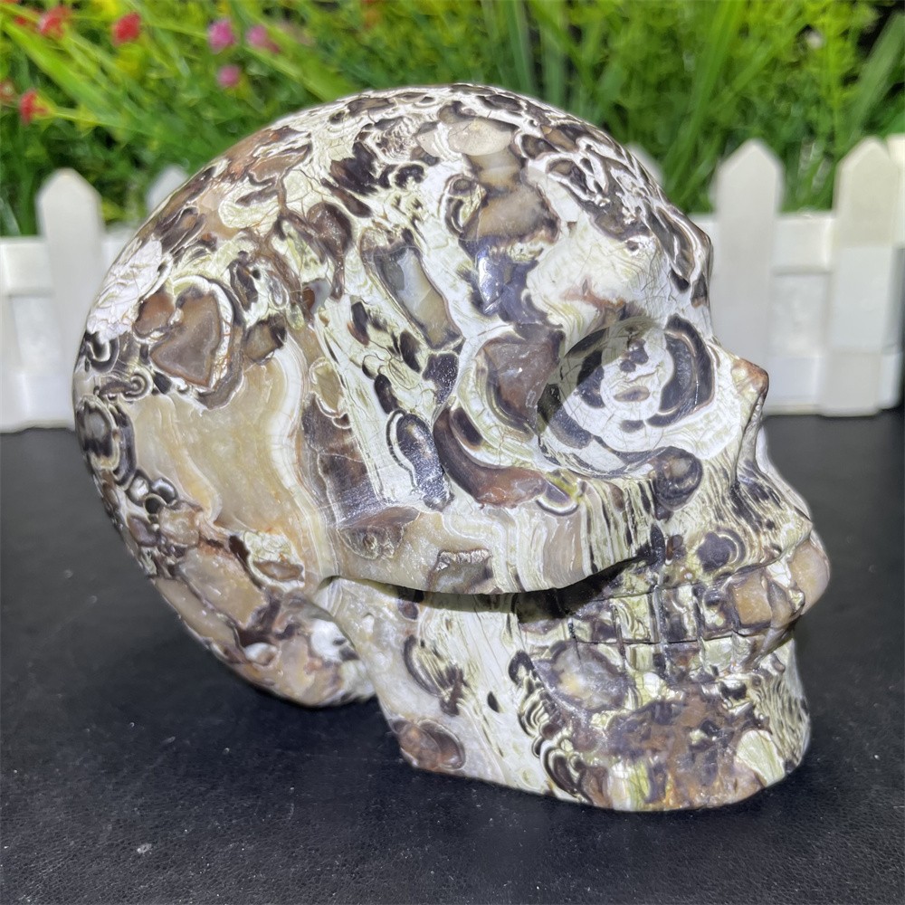 2.1LB 3.9″ Natural Money Agate Skull Crystal Quartz Carving Reiki Decoration