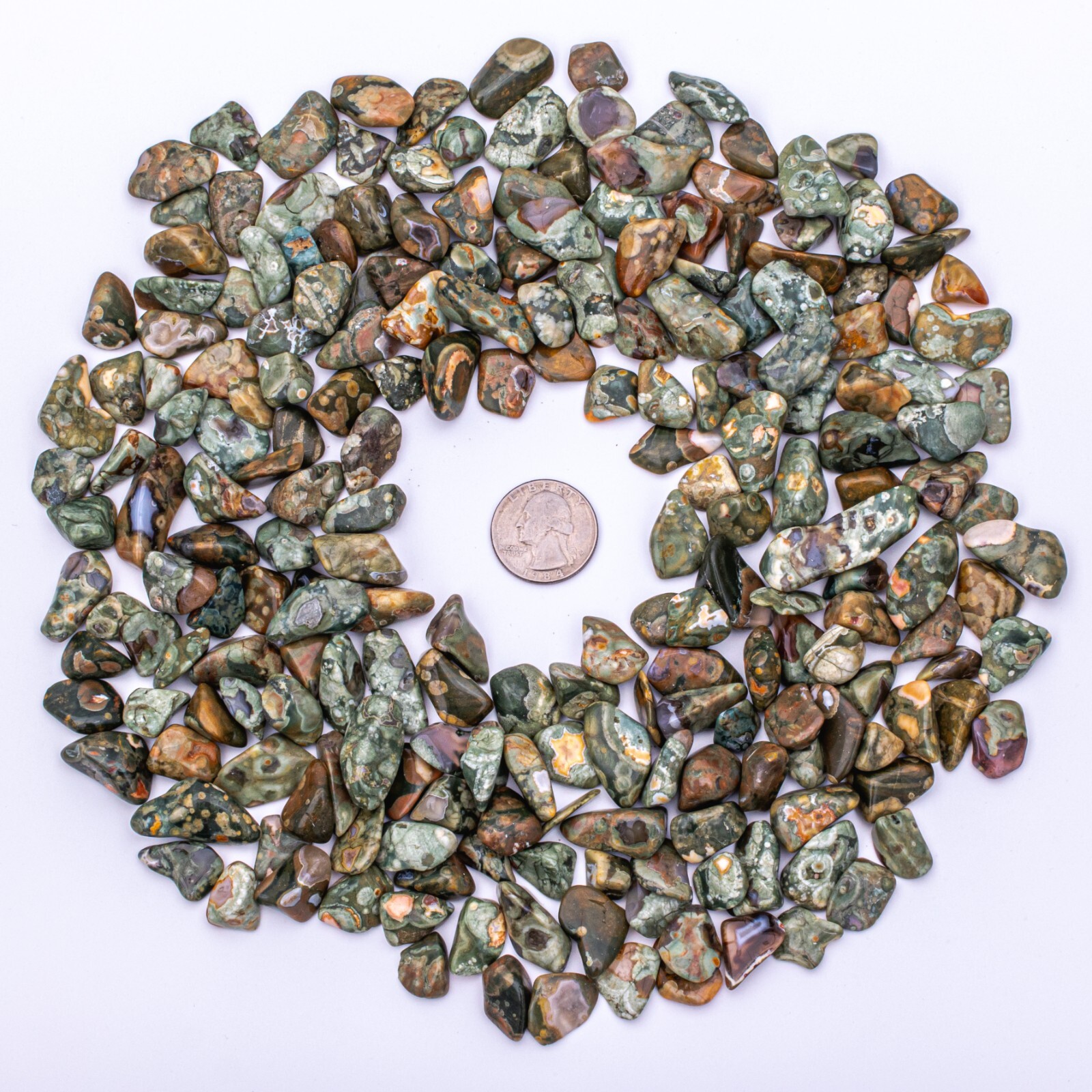 1 lb Tumbled Rainforest Rhyolite Jasper Gemstone Crystals 215-240 Stones Bulk