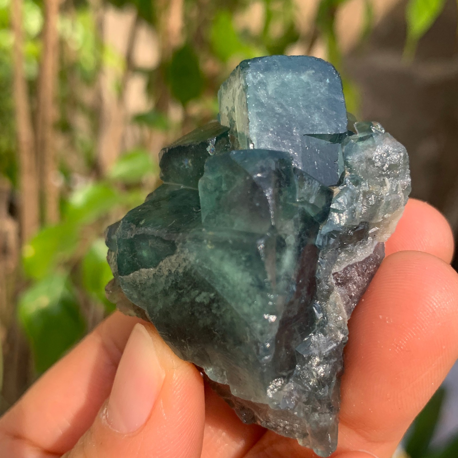 88g Natural Green FLUORITE Quartz Crystal Cluster Mineral Specimen
