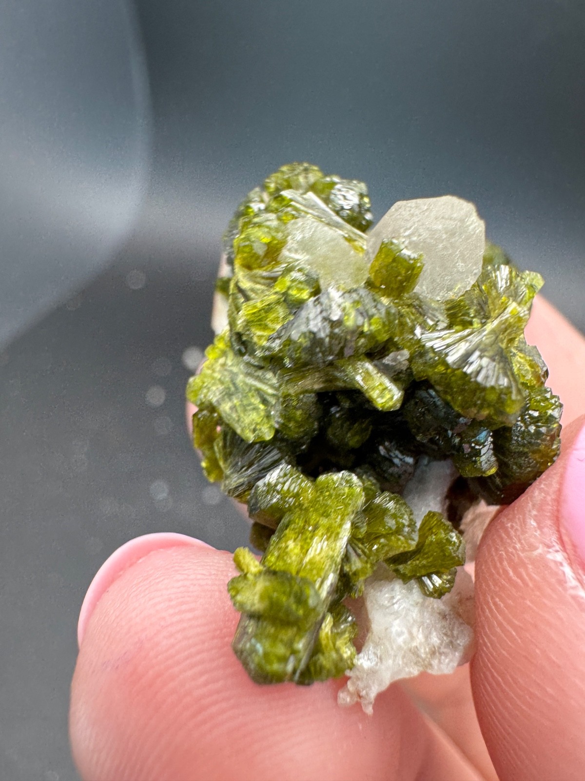 6804 High Quality Gemmy and Bright Green Epidote on Quartz in Perky 15g Morocco
