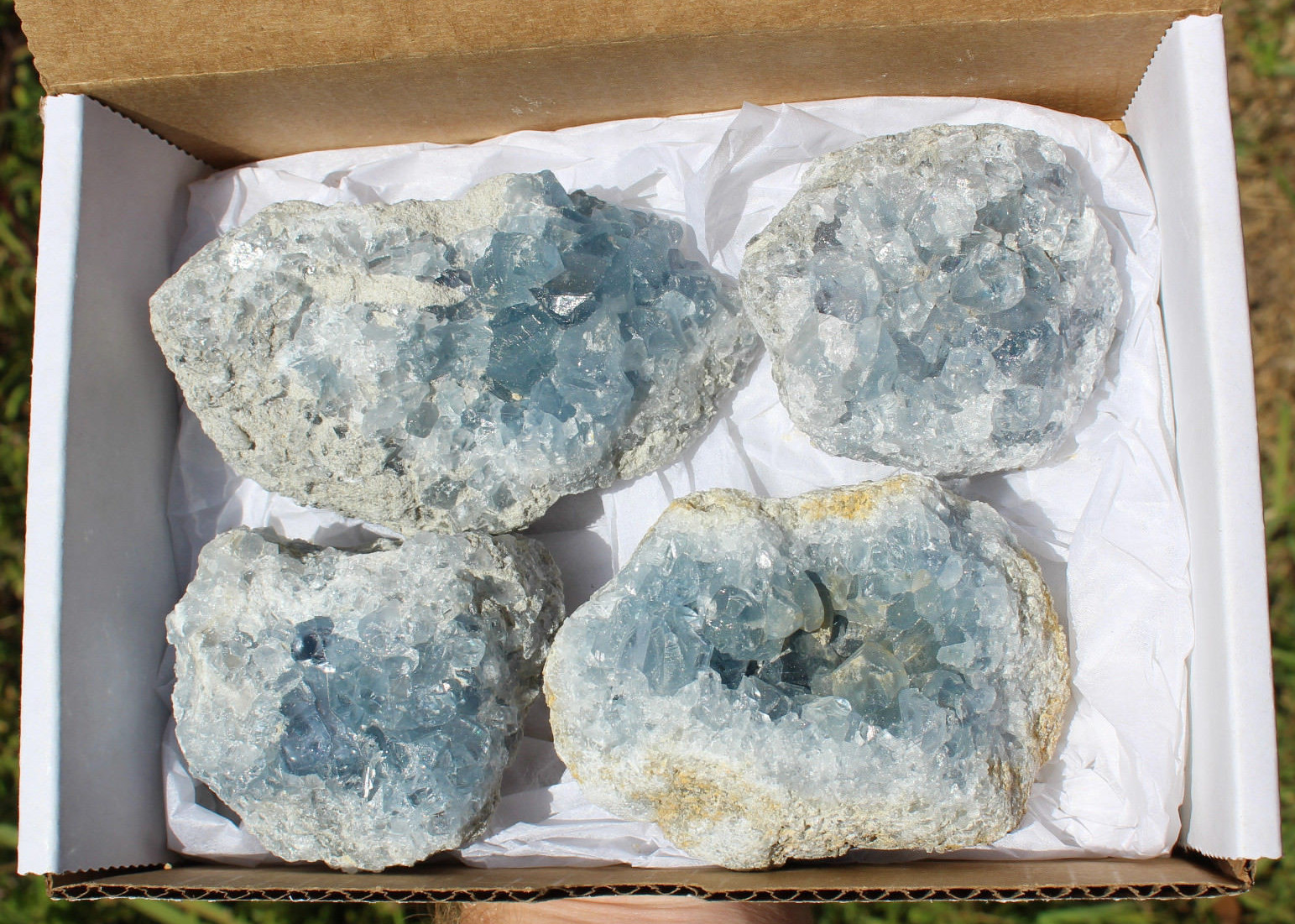 Bulk LARGE Natural Celestite Crystal Cluster Geode 2lb – 3lb (4-5 Piece Box Lot)
