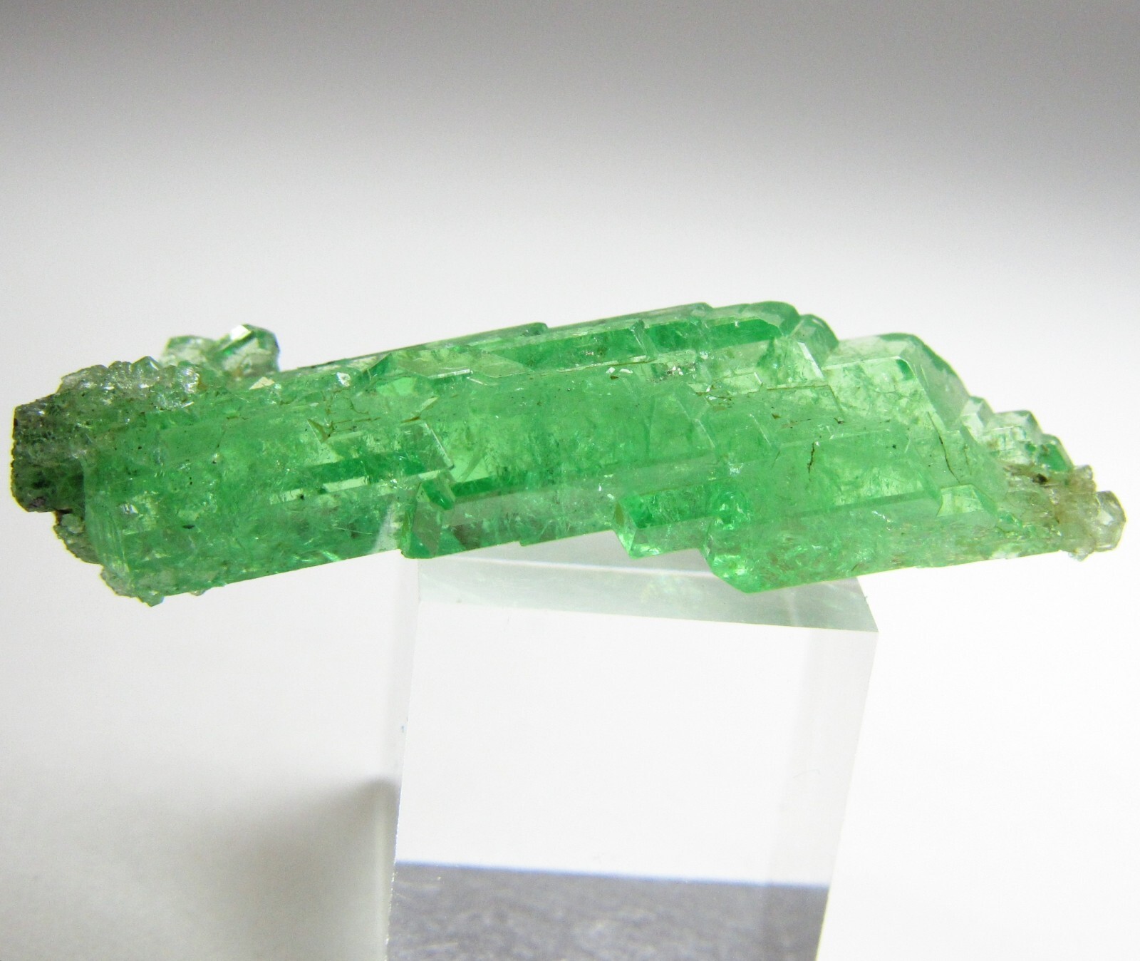 UNSURPASSED ELITE LIGHTNING BOLT TSAVORITE GROSSULAR GARNET CRYSTAL!!! TANZANIA