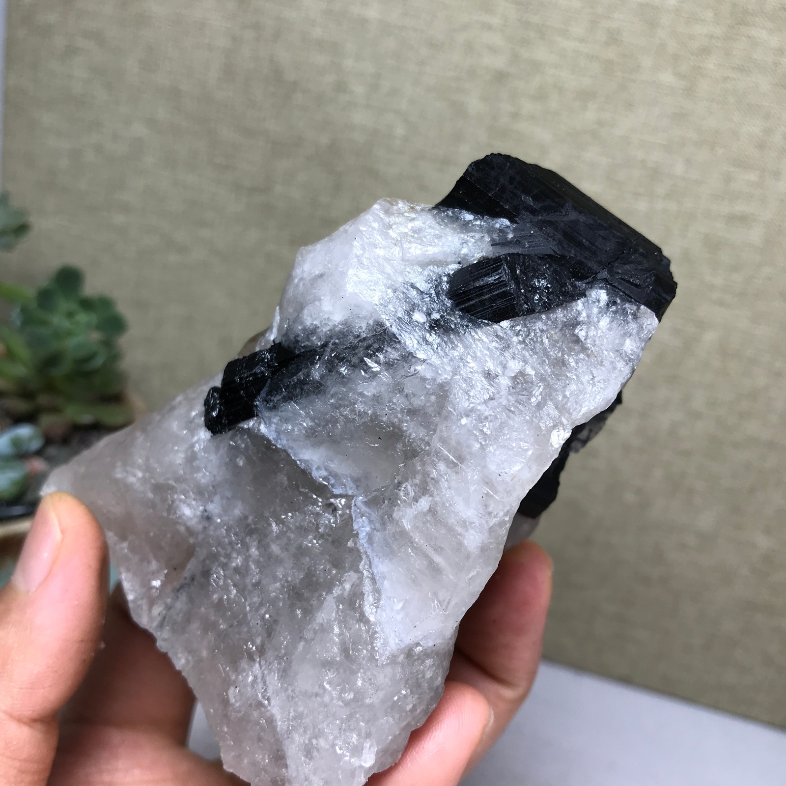 290g Natural tourmaline Crystal paragenesis gemstone original Specimen A4987