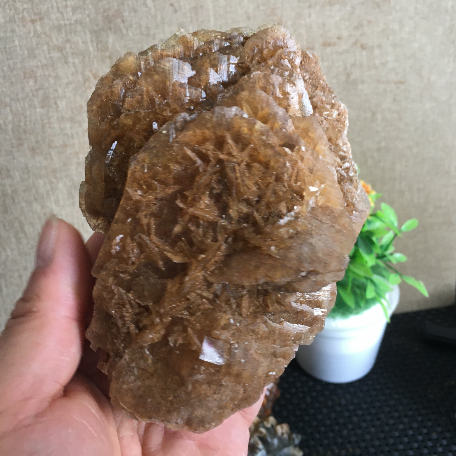 449g Natural Crystal Stone Desert Rose Specimen Decoration B1562