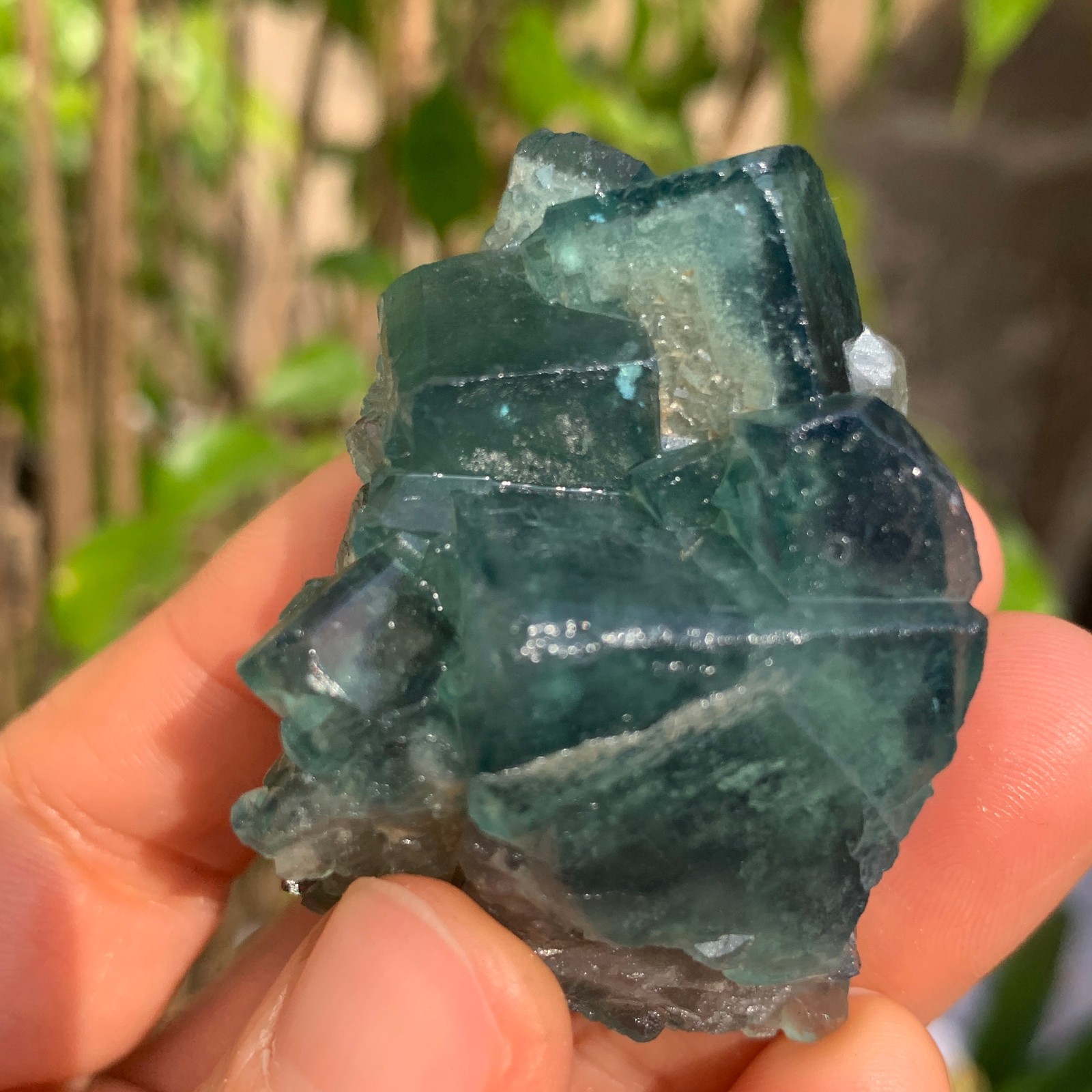 88g Natural Green FLUORITE Quartz Crystal Cluster Mineral Specimen