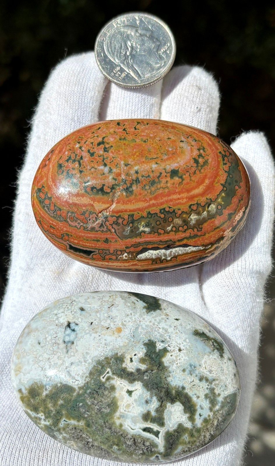 USA SALE 177g LOT OCEAN JASPER OJ PALMSTONES PALM STONE STONES PALMSTONE VIBRANT