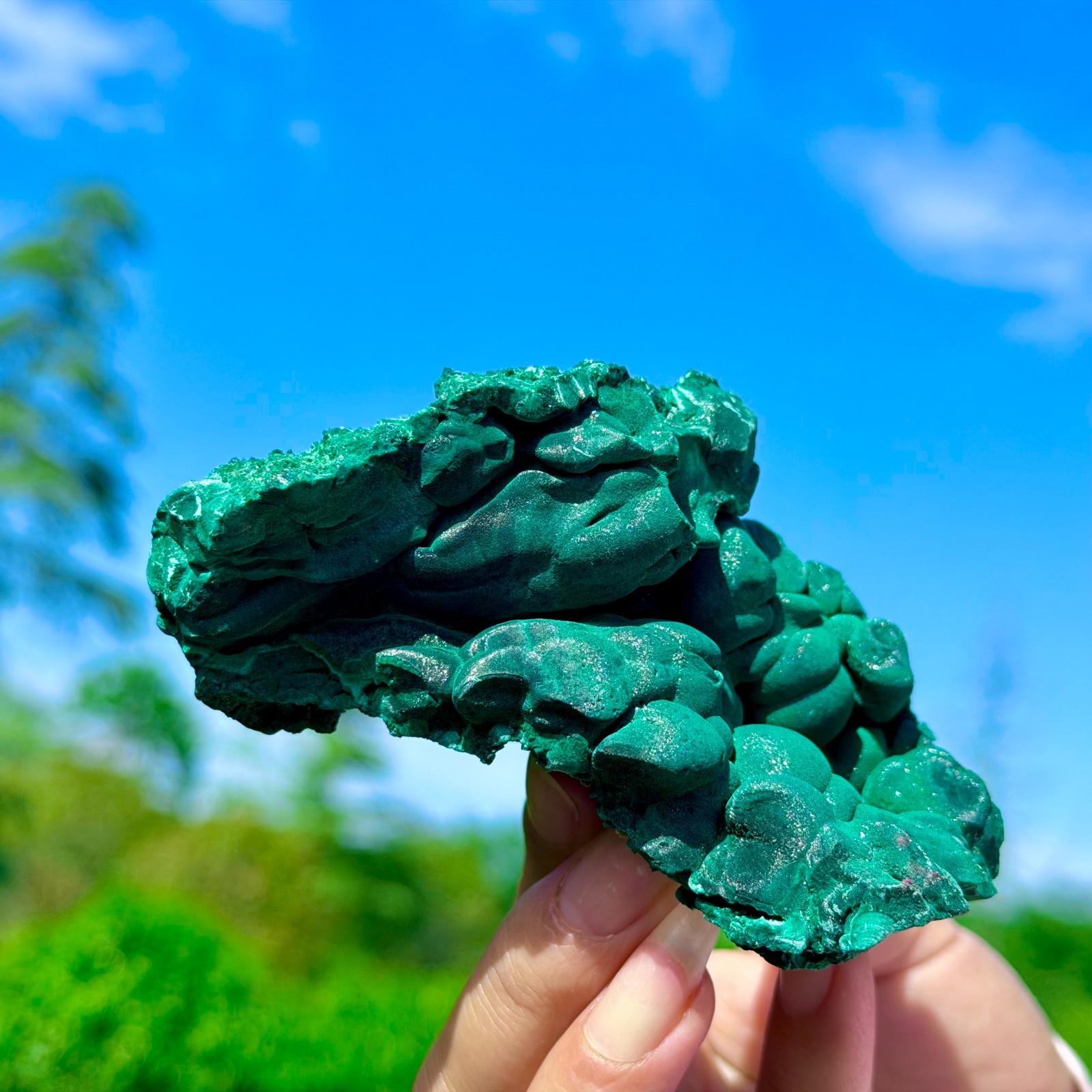 253G Natural VELVET Malachite cat’s eye specimen crystal rough mineral-Congo