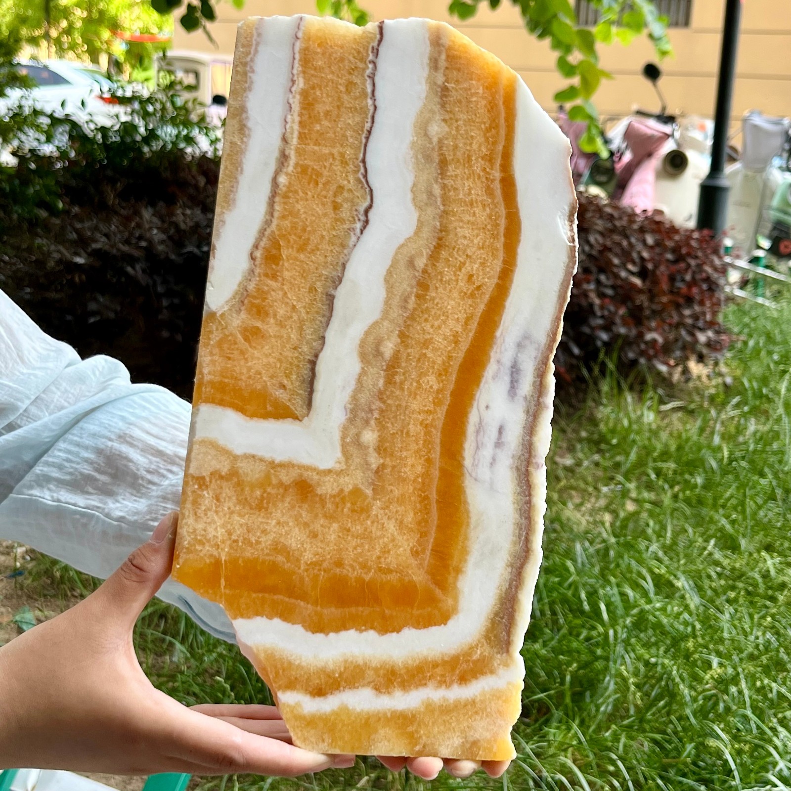 3.3 lb Yellow Calcite Crystal Polished Double Sided Slice Natural Specimen