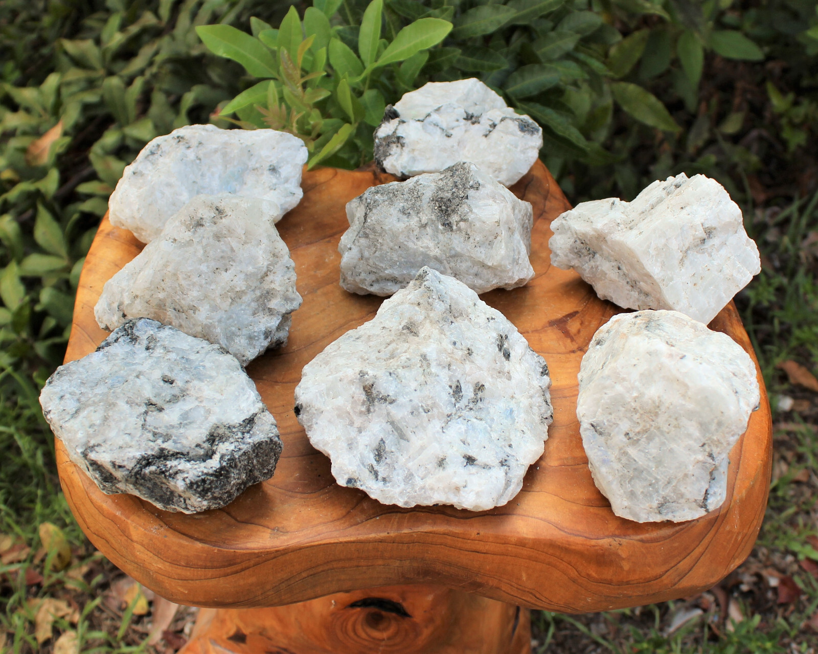 JUMBO Rainbow Moonstone Natural Raw Crystals – HUGE Rough Rainbow Moonstone