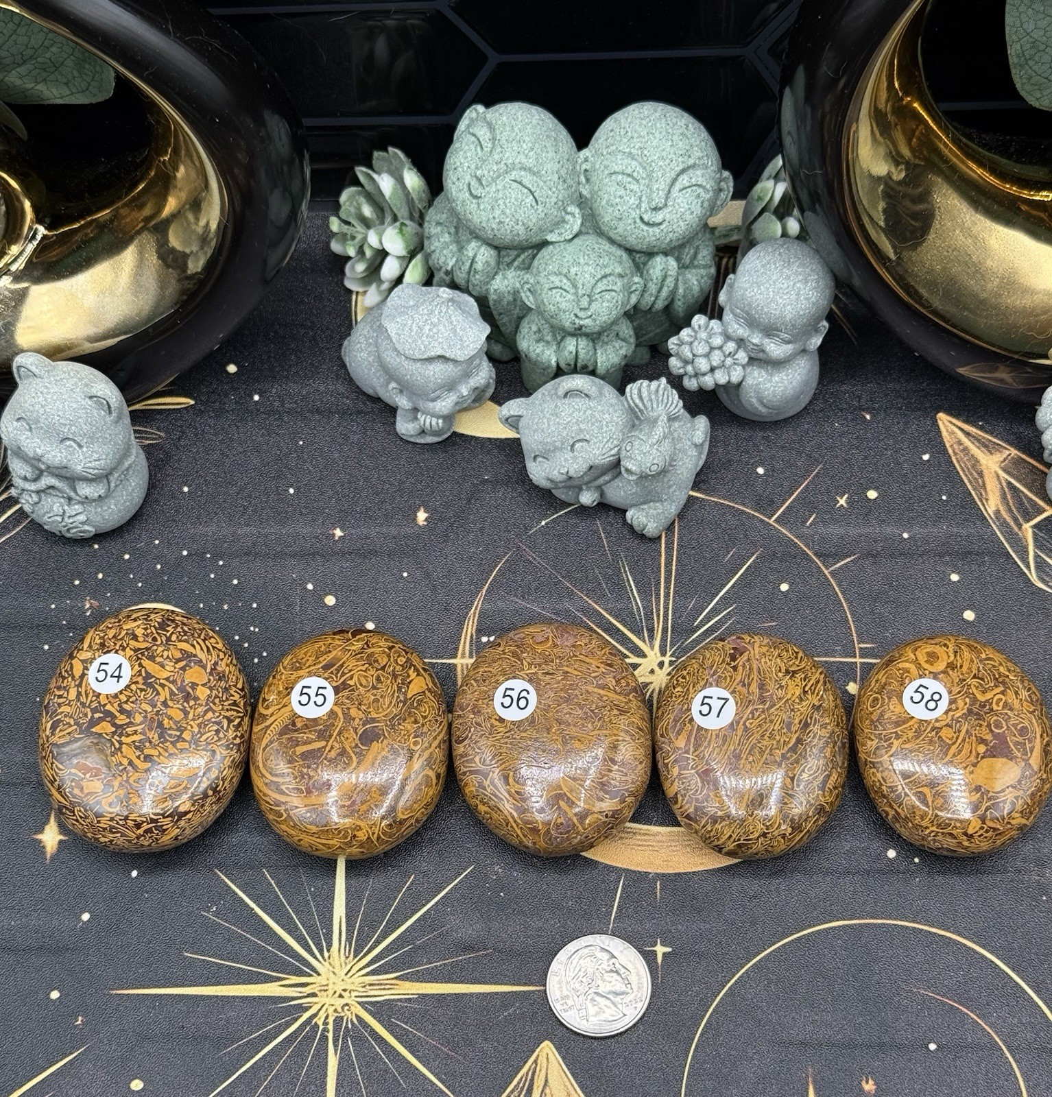 Natural Lg Calligraphy Stone Miriam fossilized shells, hematite, iron Free ship