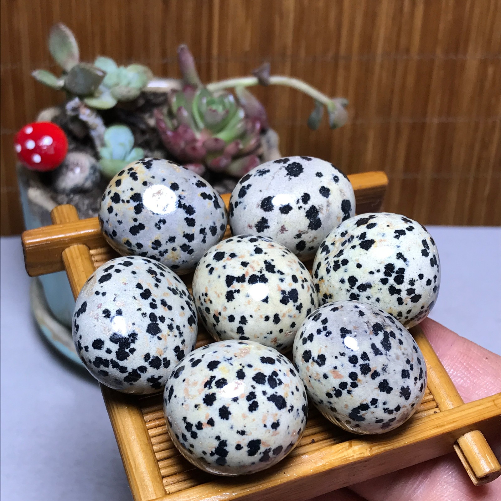 25-22-22mm 7Pcs Natural spotted stone Crystal gemstone Mineral Specimen A4408