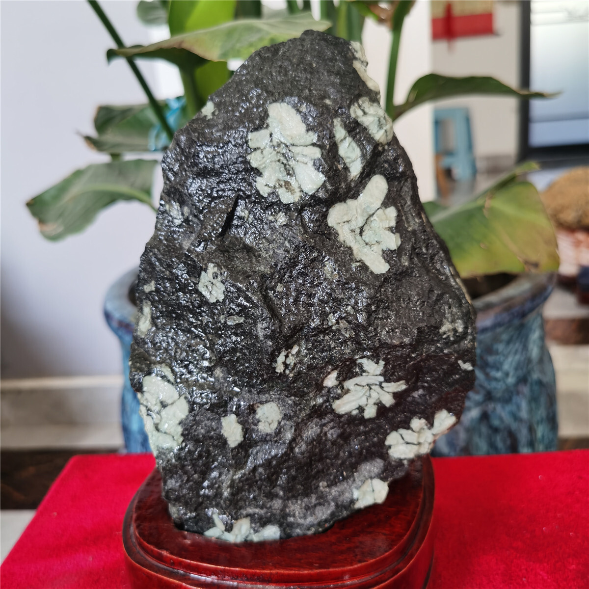 11.24lb Natural Peony stone crystal original specimen + stand 70