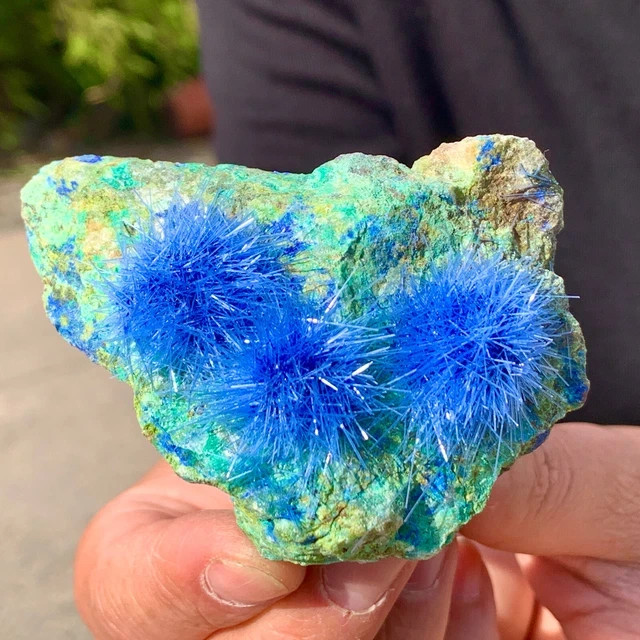 50-80G Rare Dandelion zeolite Quartz Crystal Cluster Mineral Rock Specimen Decor