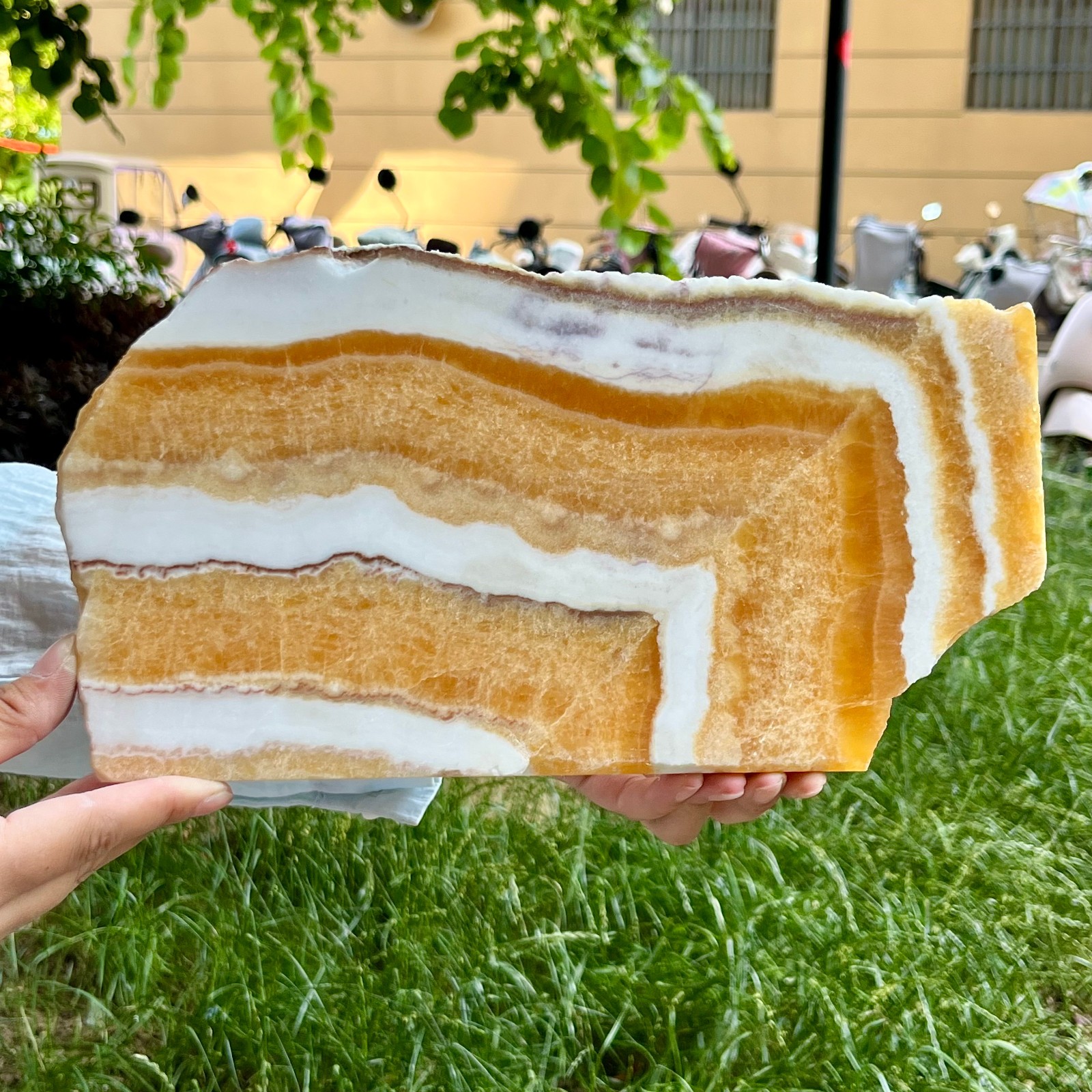 3.3 lb Yellow Calcite Crystal Polished Double Sided Slice Natural Specimen