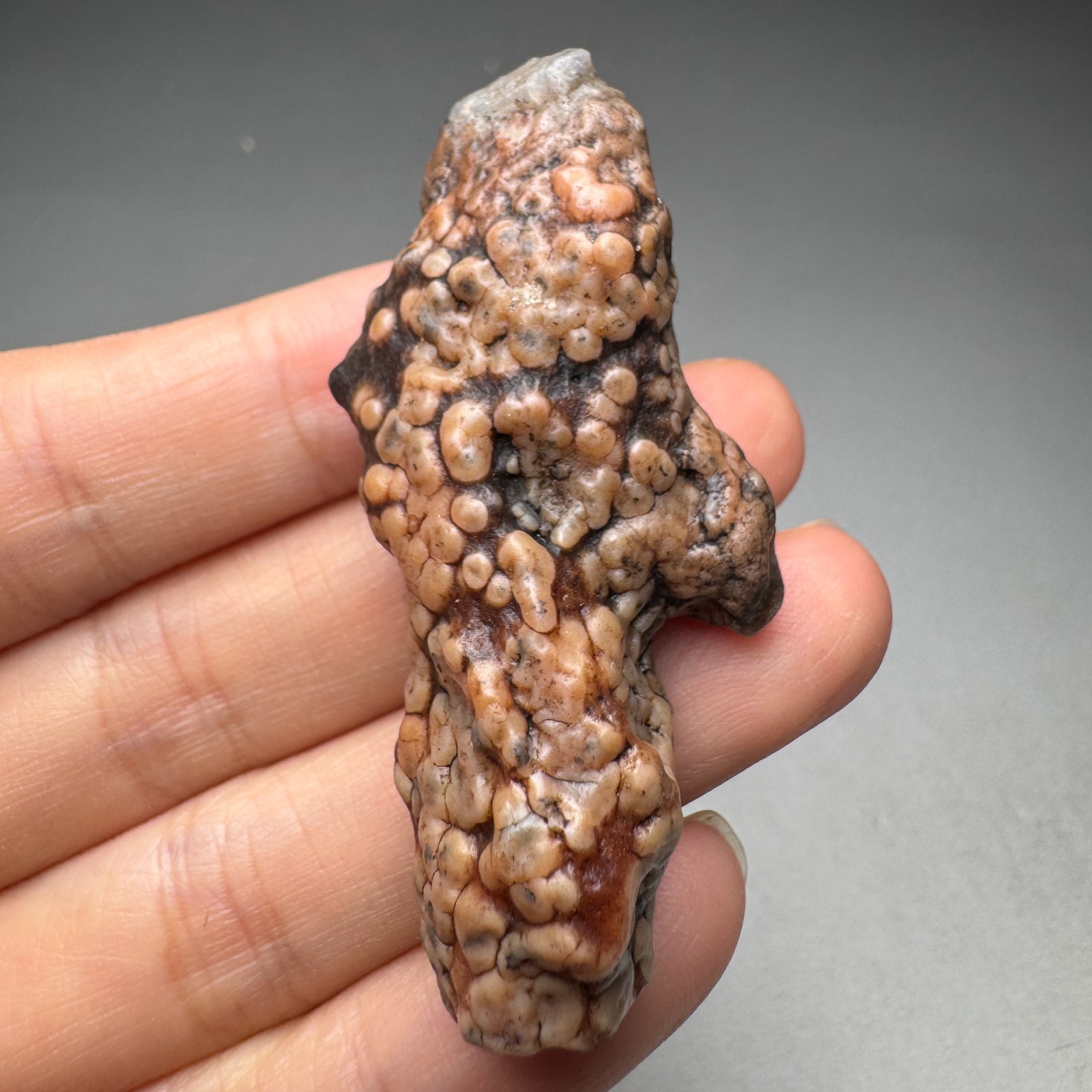 5.6cm/25G Raw & Natural Alxa Gobi Raised Fish Roe Vein Agate,Inner Mongolia#6556