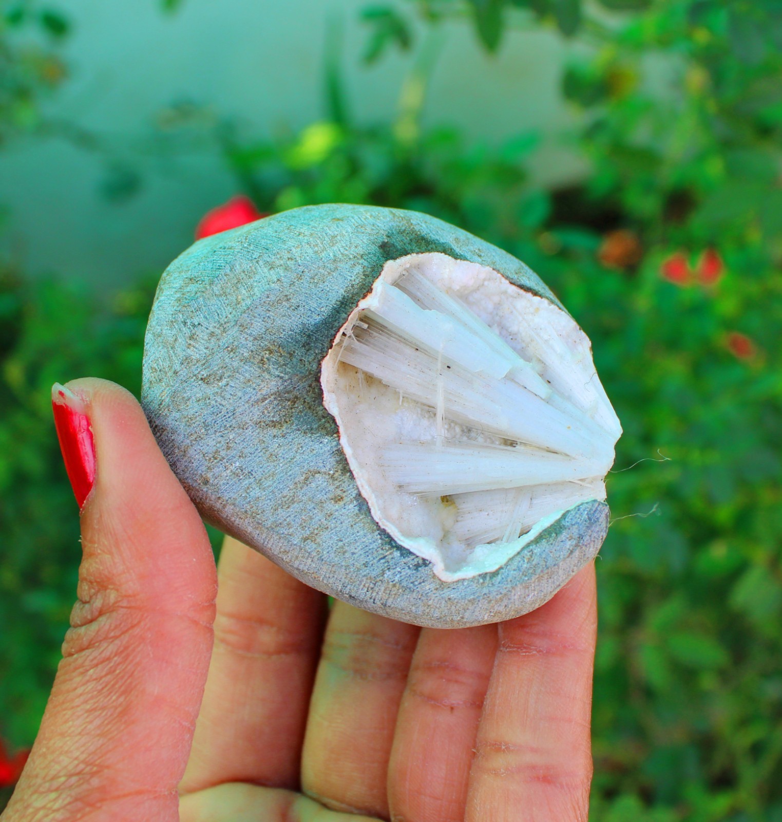 Scolecite In Geode Minerals Specimen#A9
