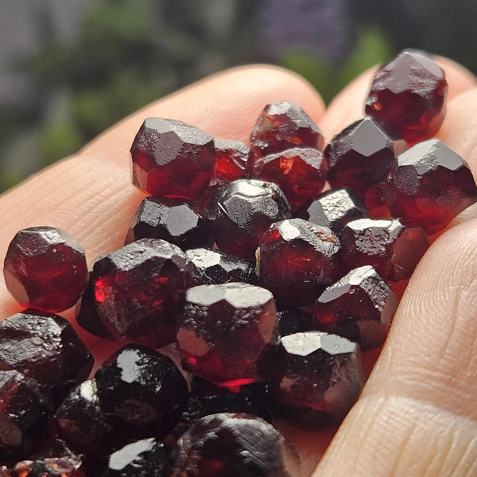 Red Garnet Crystals, Raw Dodecahedron Terminated Stones (5