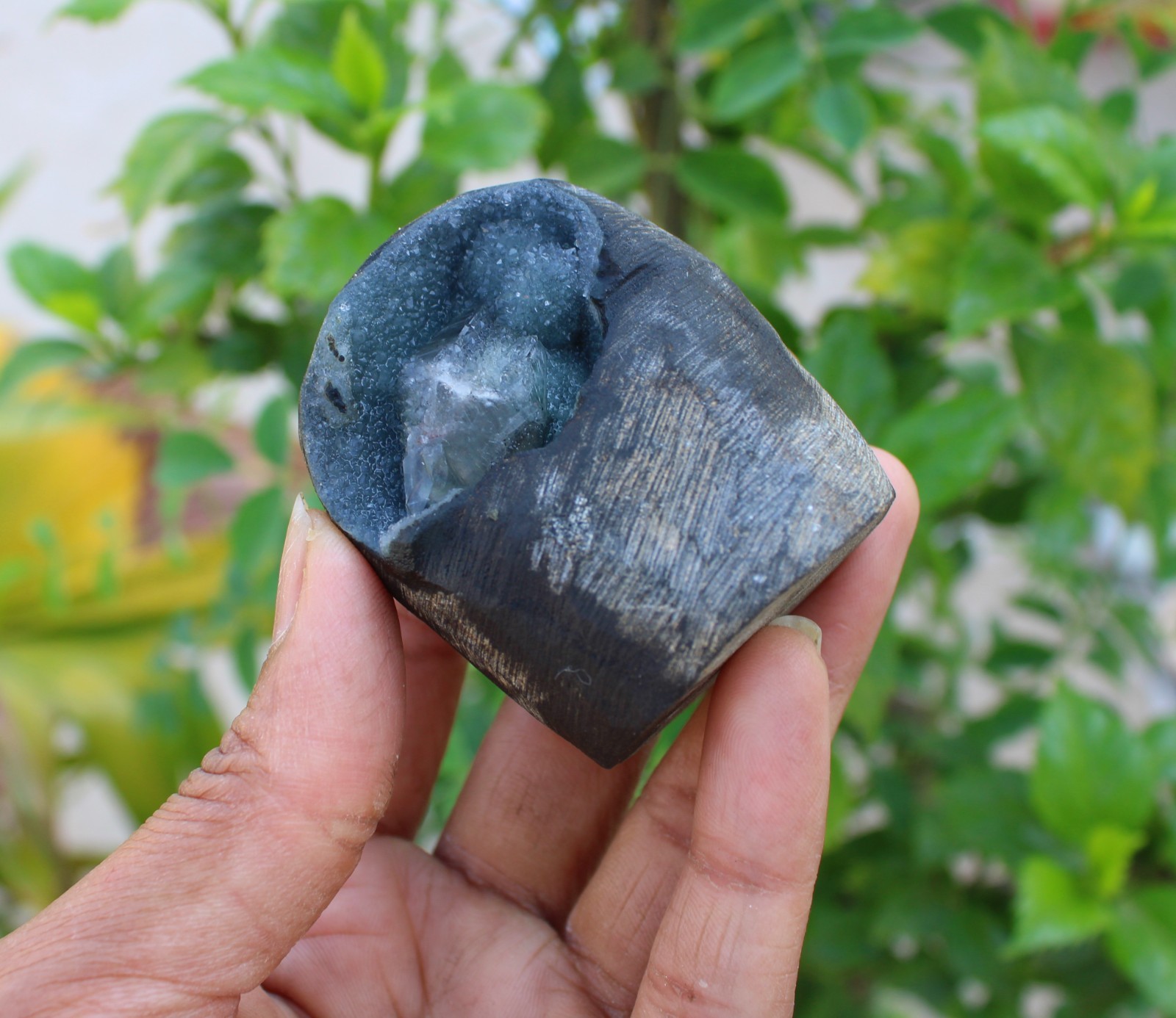calcite on chalcedony coral geode minerals specimen #A43