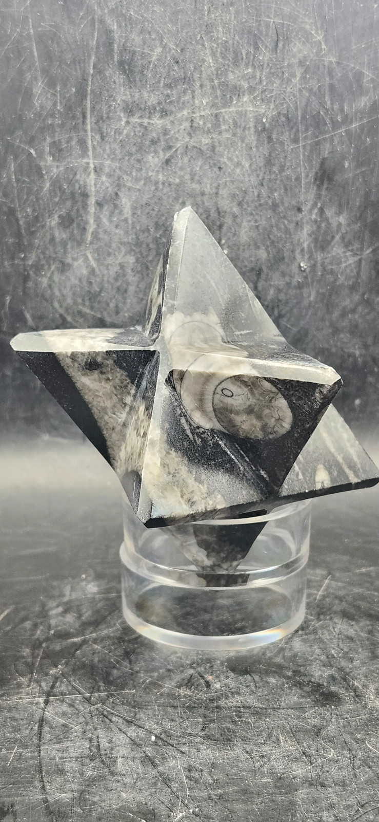 Orthoceras calcite fossil markaba, 10 ounces, 2.2 inches!