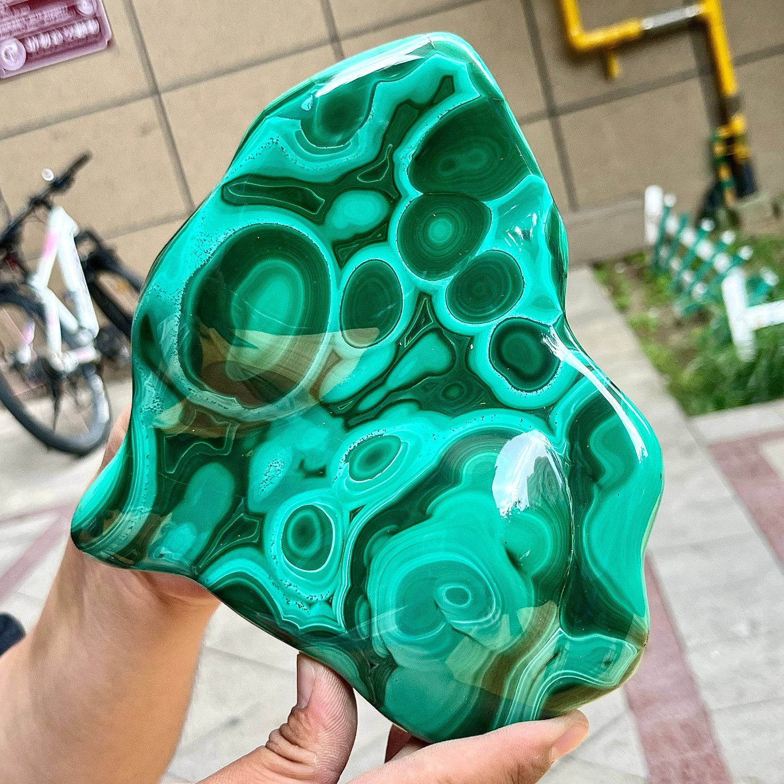 Authentic Malachite Stone Half Polish Half Raw Natural Patterns 3.4 lb