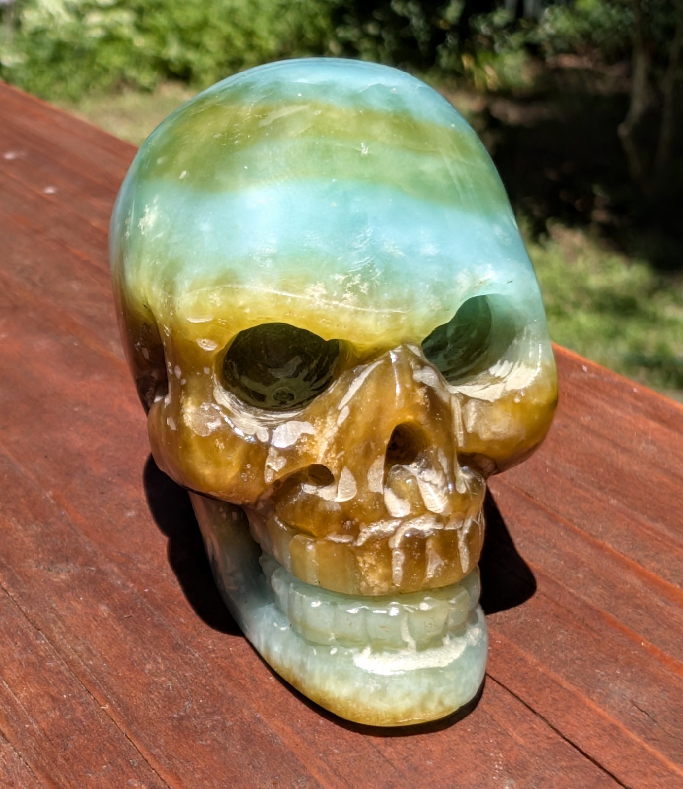 2.25″ Blue Opalized Petrified Wood Skull Hand Carved Extremely Rare
