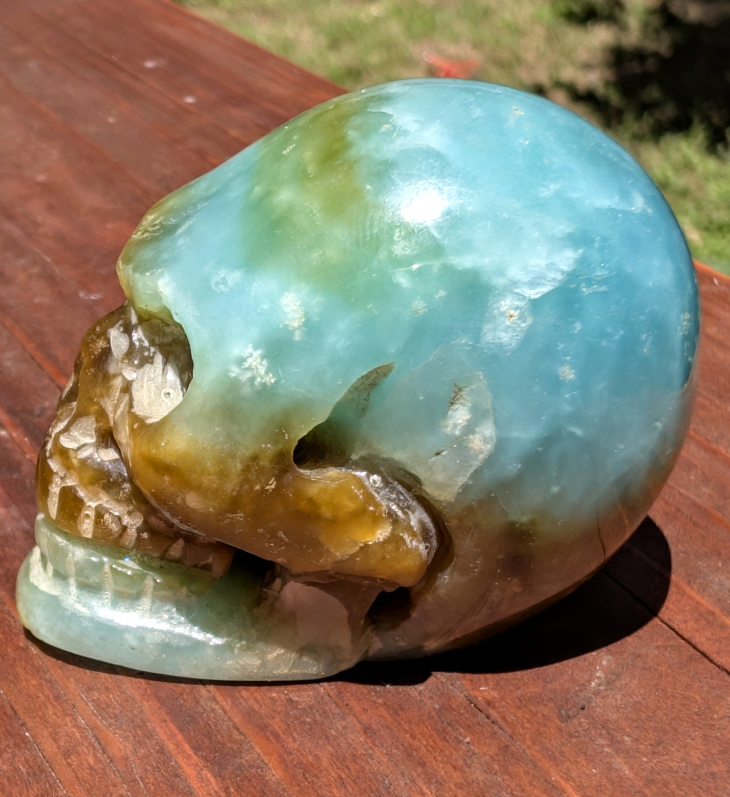 2.25″ Blue Opalized Petrified Wood Skull Hand Carved Extremely Rare