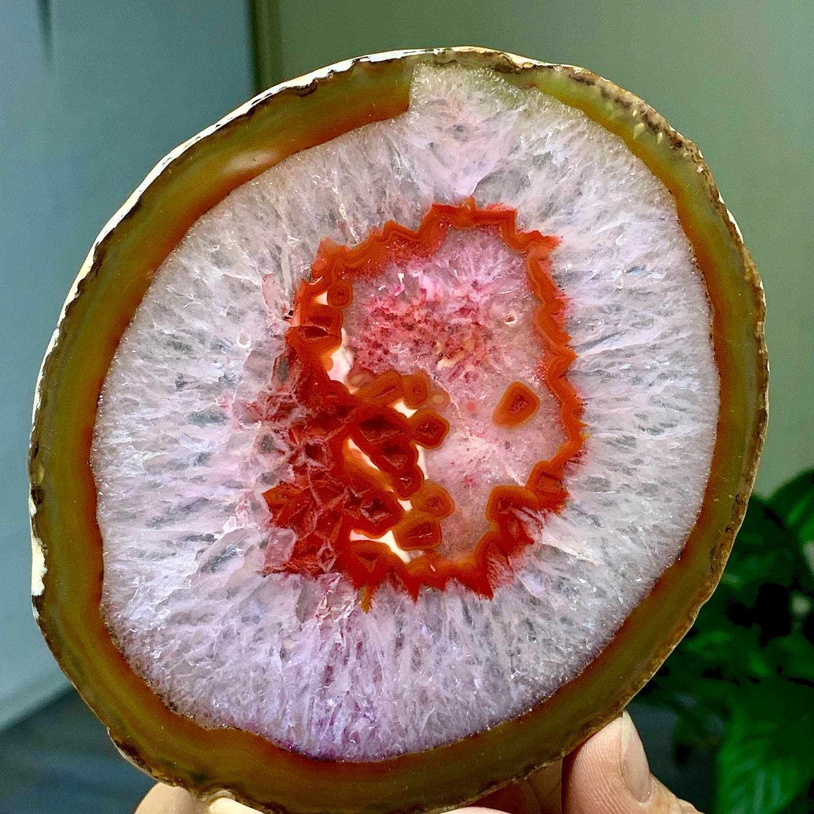 164G Natural Beautiful Agate Geode Druzy Slice Extra Large Gemstone