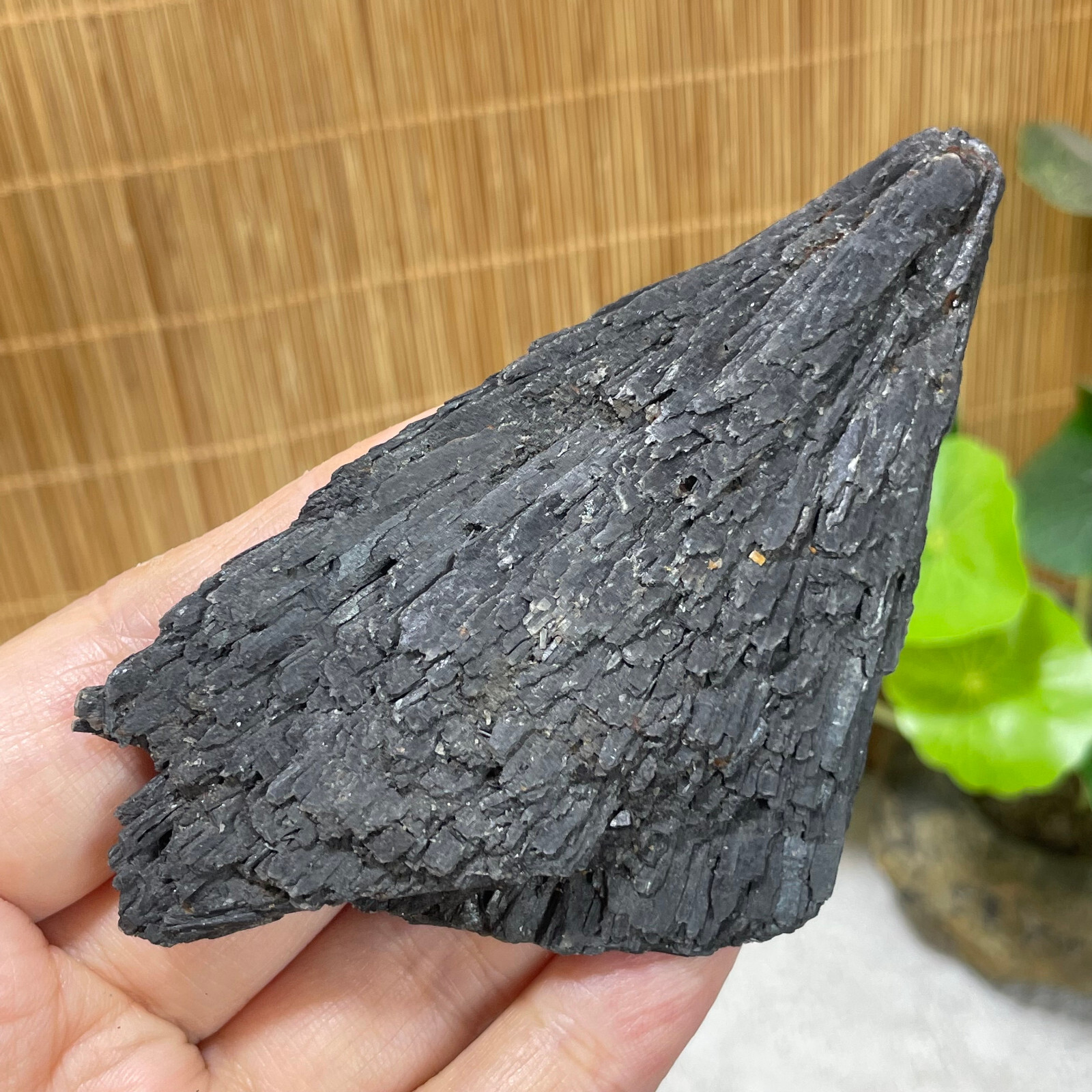75g Natural Irregular natural black crystal cluster mineral specimen（dian qishi）