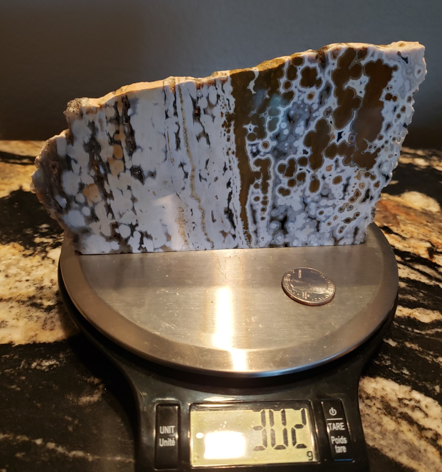6.75″ Natural 8th Vein White Orbicular Ocean Jasper Druzy Crystal Slab Plate