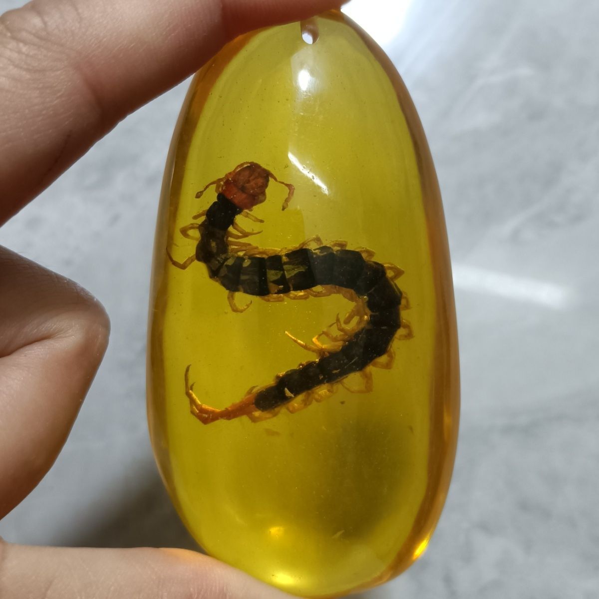 Insect Amber Pendant Centipede Long Sweater Necklace for Men Women Jewelry