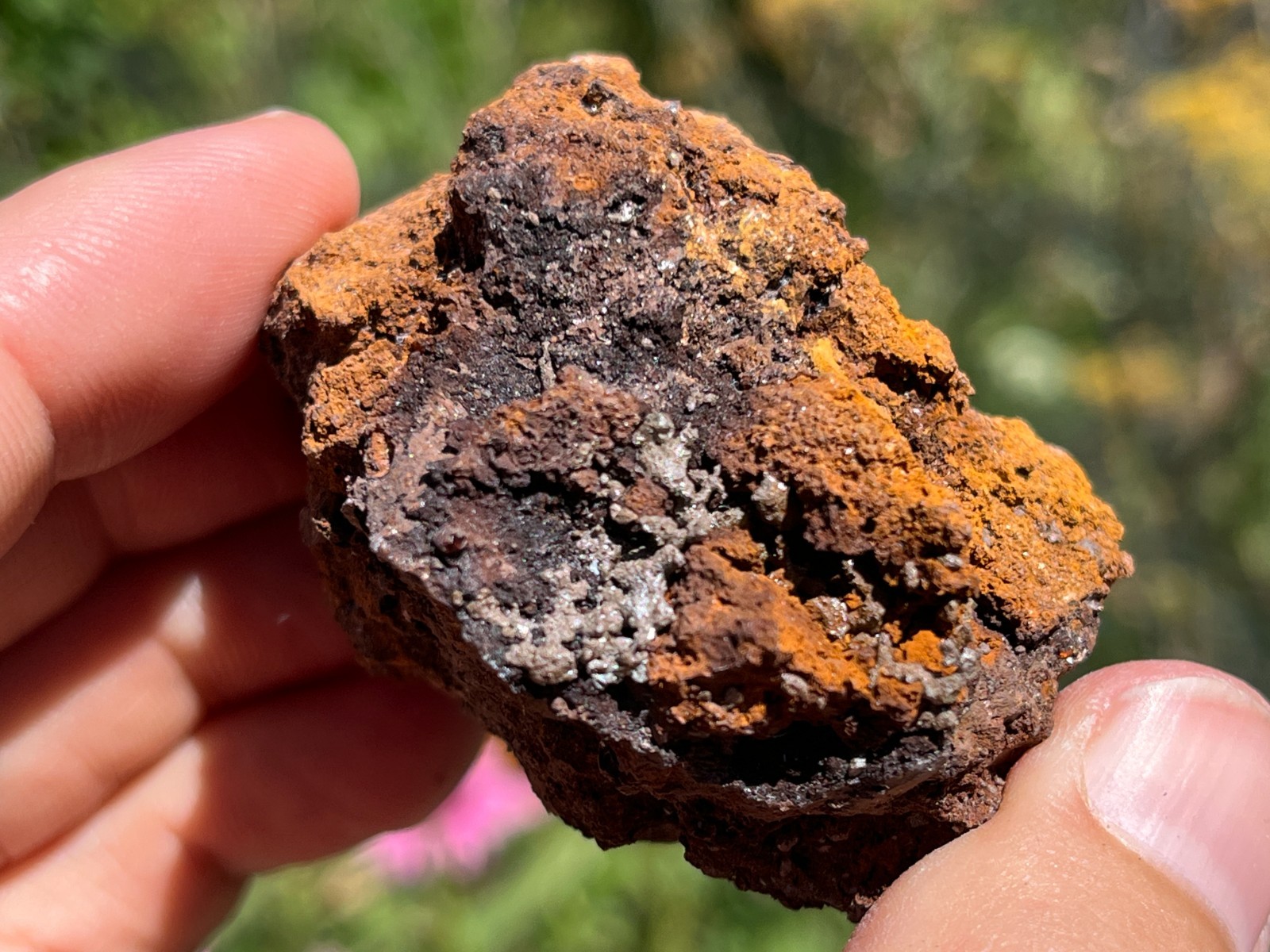Chlorargyrite on Limonite- Broken Hill, Yancowinna Co., NSW, Australia